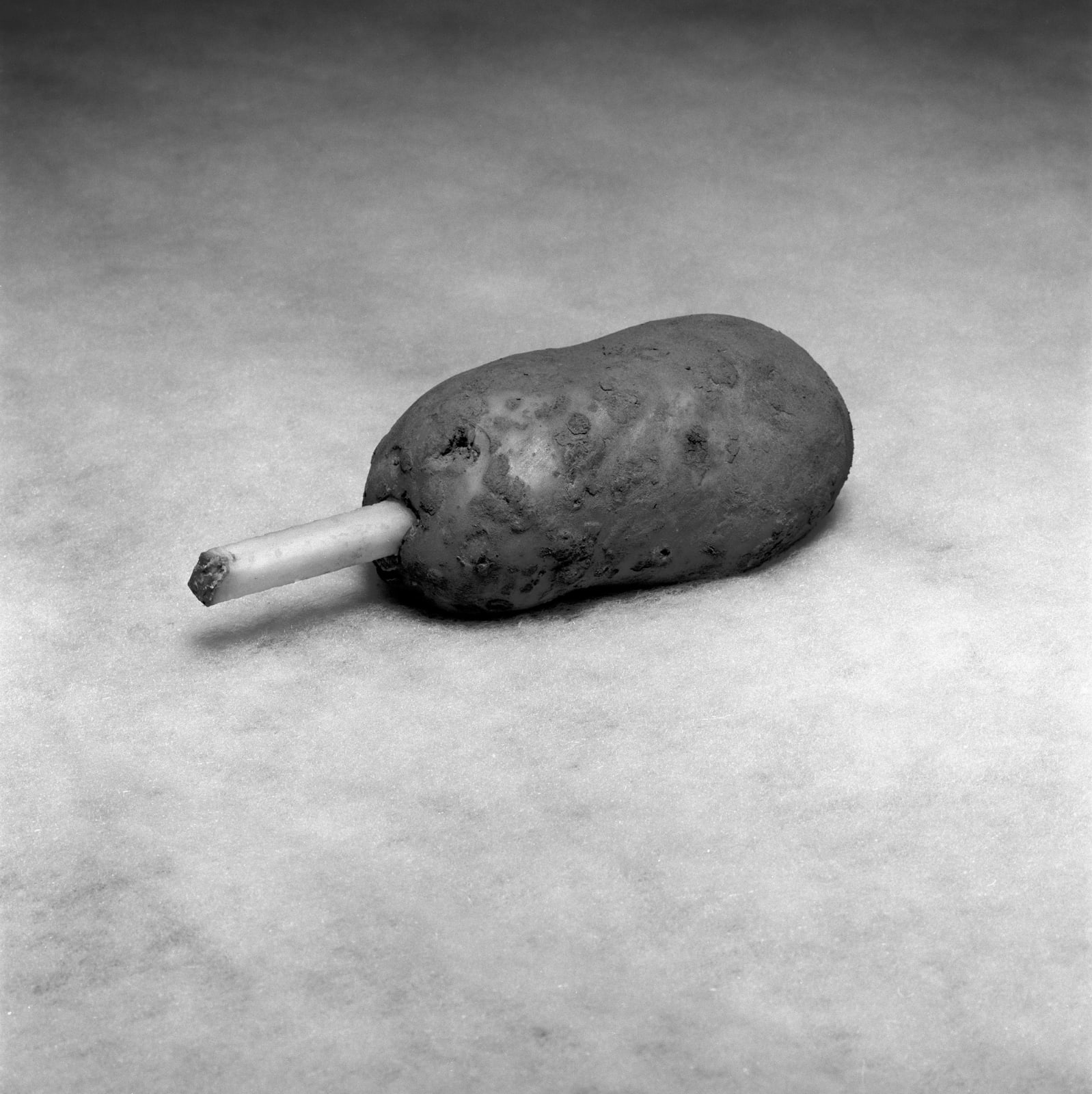 Brian Griffin, Test Potato , 2017
