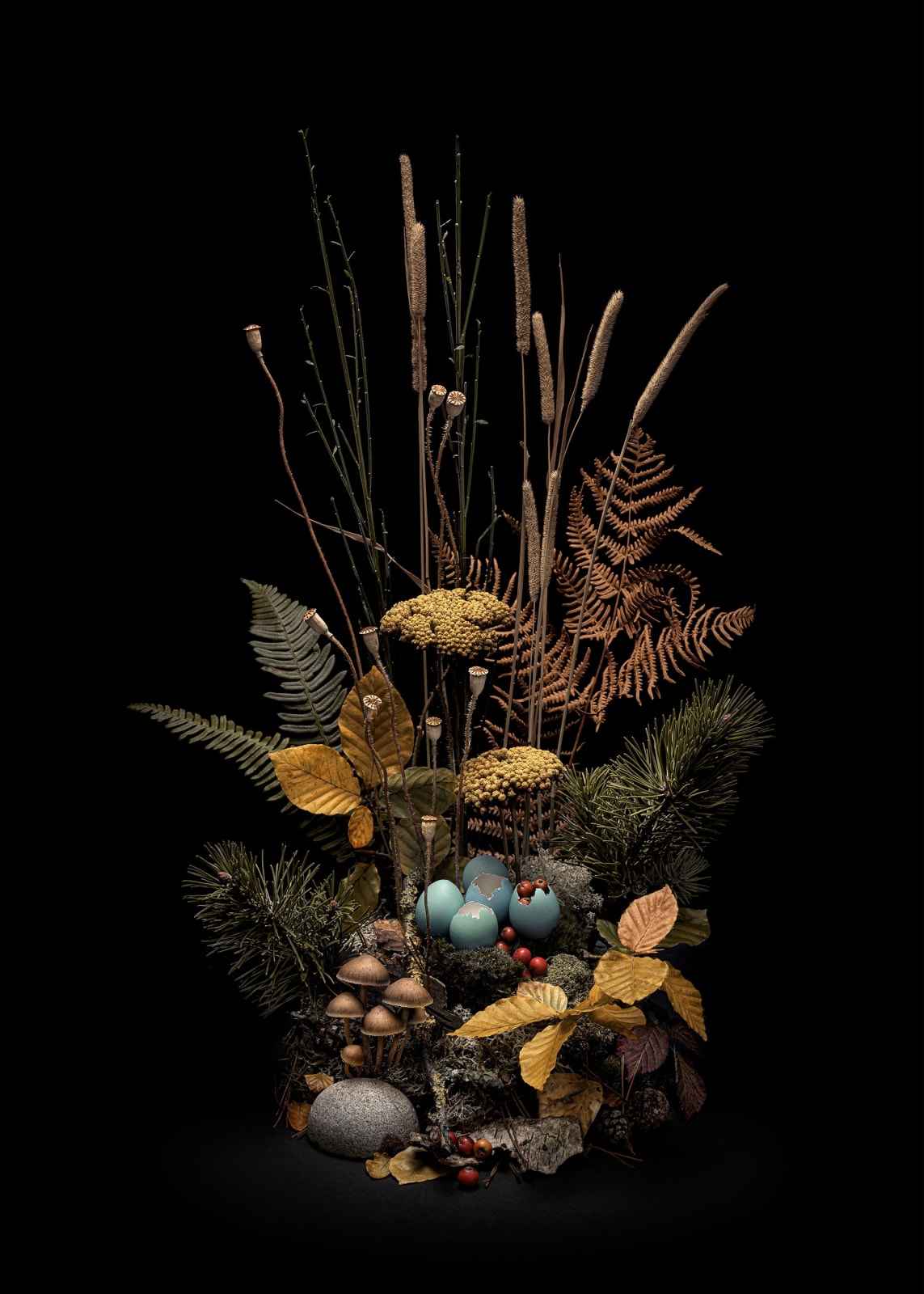 Jasper Goodall, Dark Flora #4, Autumn Weald, 2019