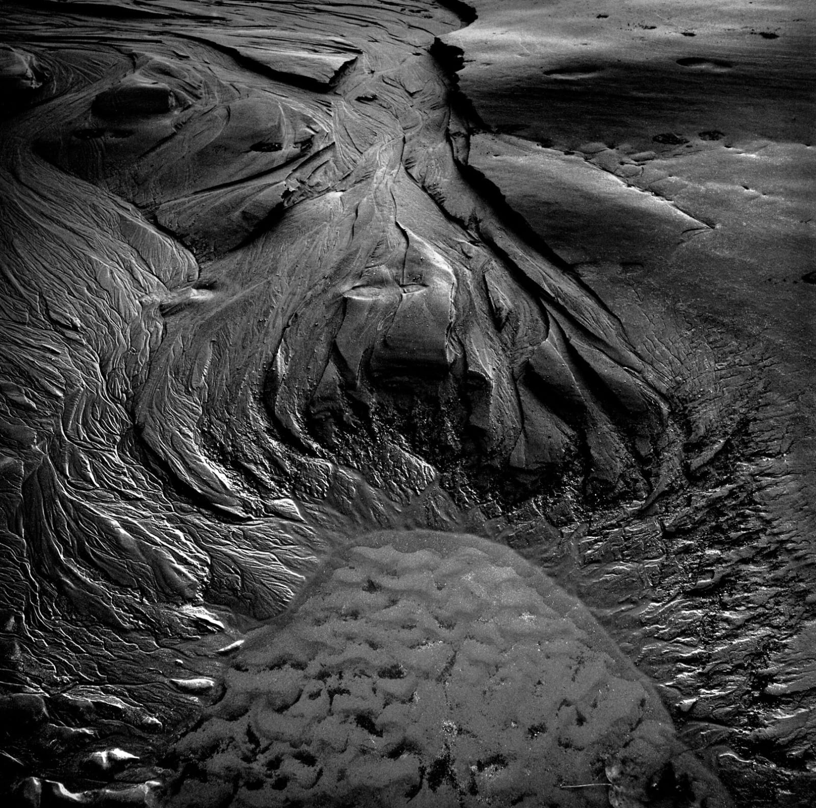 Michael Jackson, Poppit Sands #19, 2011 - 2014