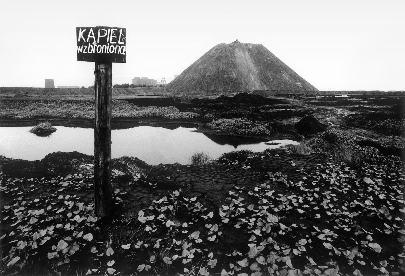 Michal Cala, 'Swimming Prohibited', Slagheaps of the 1st May Coalmine, Wodzislaw Sląski, 1978
