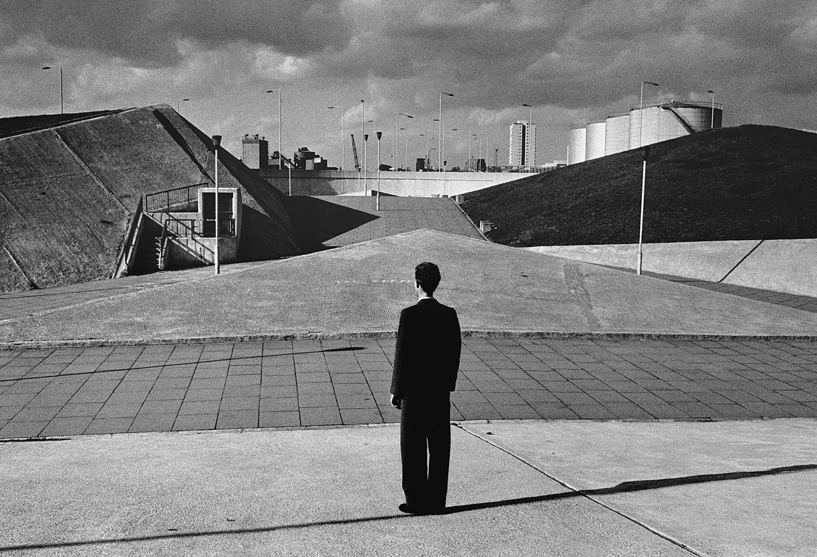 Brian Griffin, Traffic Island, 