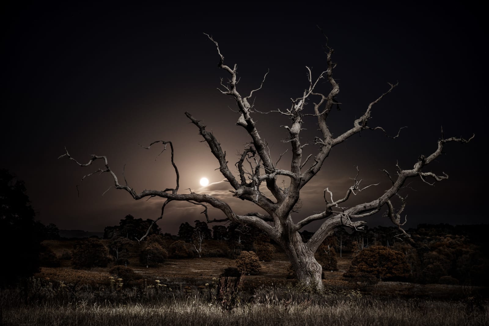 Jasper Goodall, Twilight's Path 030 - Moonrise, 2019