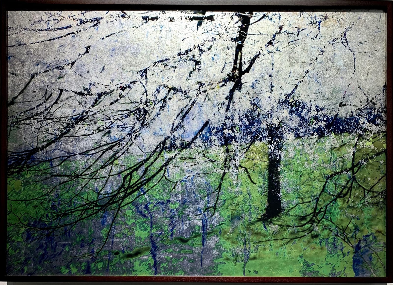 Valda Bailey, Blossom Blizzard, Study 1, Stanmer Park, Sussex, England, 2014