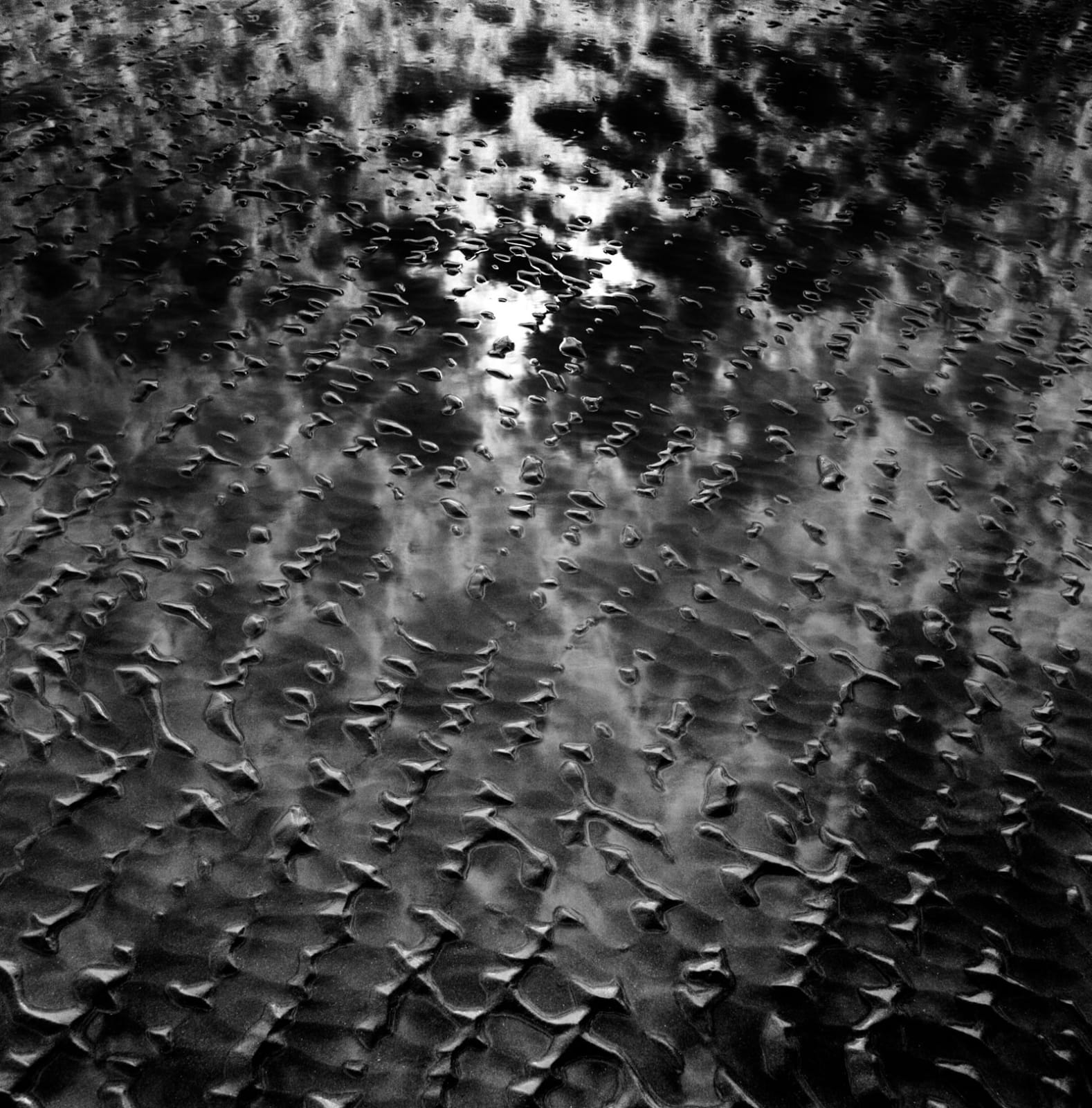 Michael Jackson, Poppit Sands #13, 2011-2014