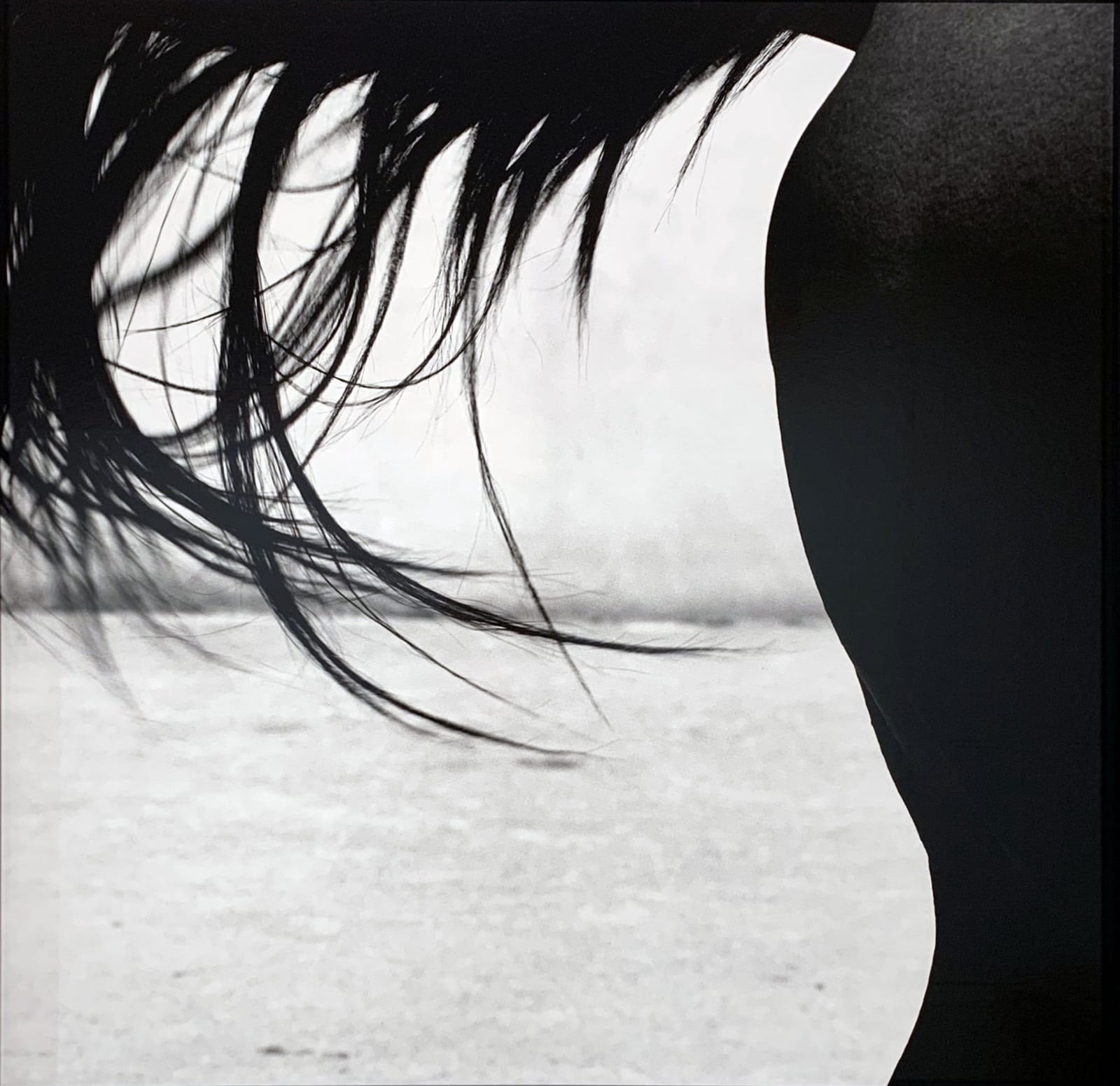 John Reardon, Xaar, 'Tail', 2001