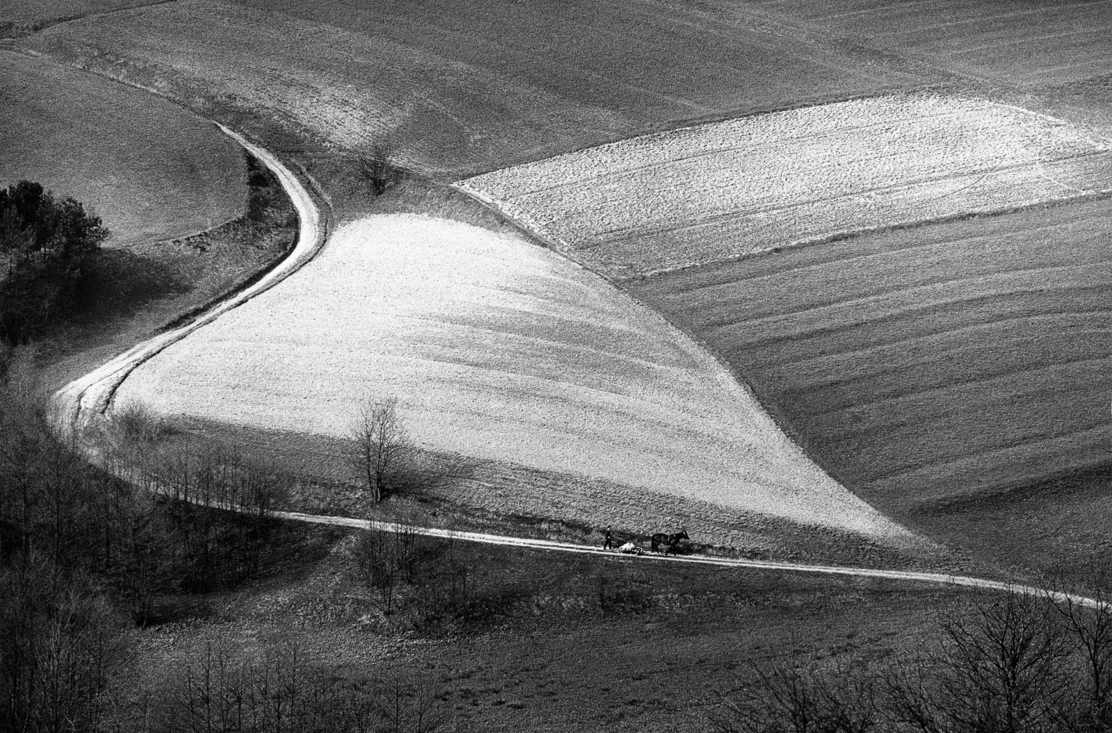 Michal Cala, A field Path III, Strzyżów, Polish Galicia, 1976
