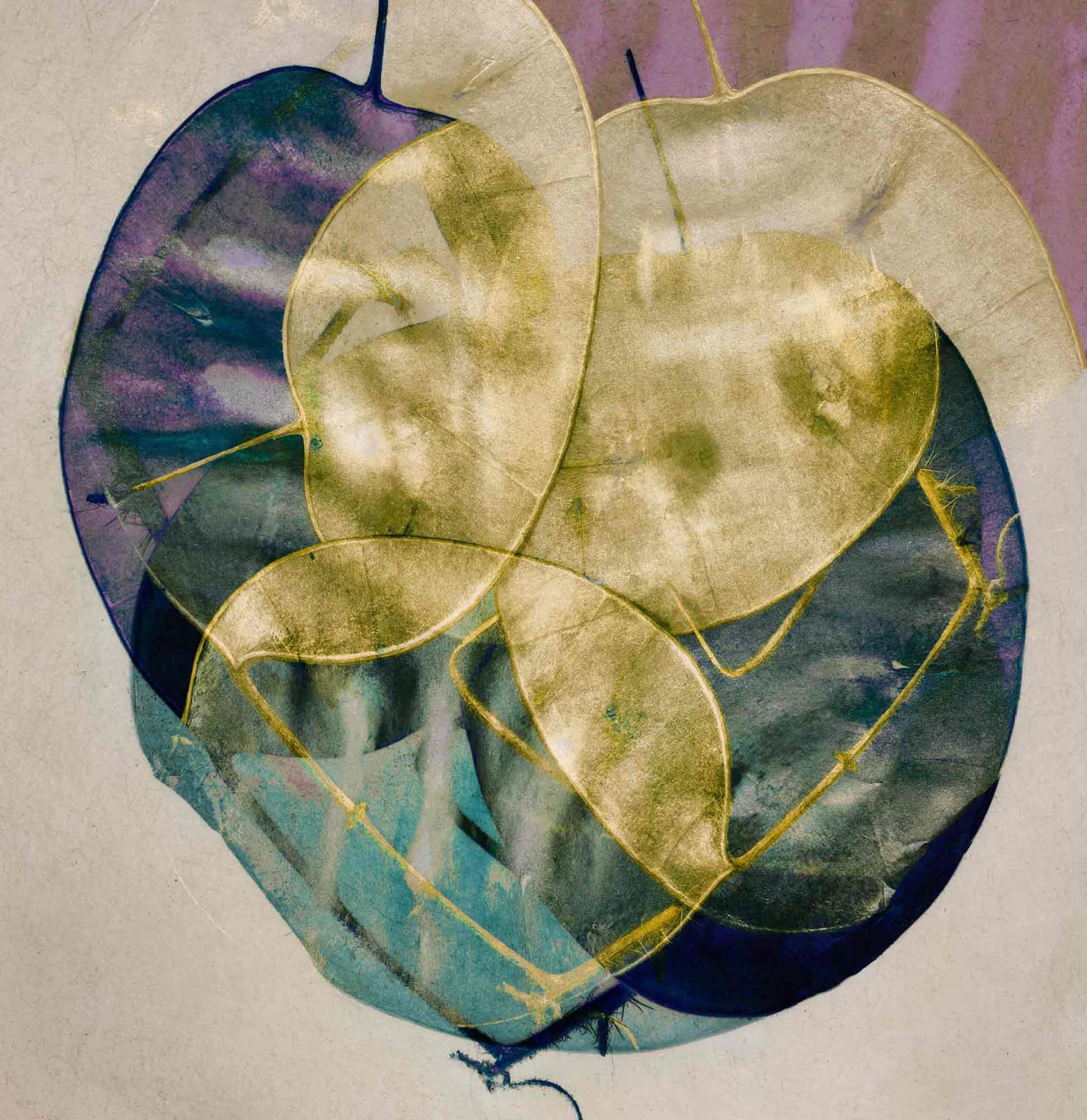 Valda Bailey, Loyalty, 2019