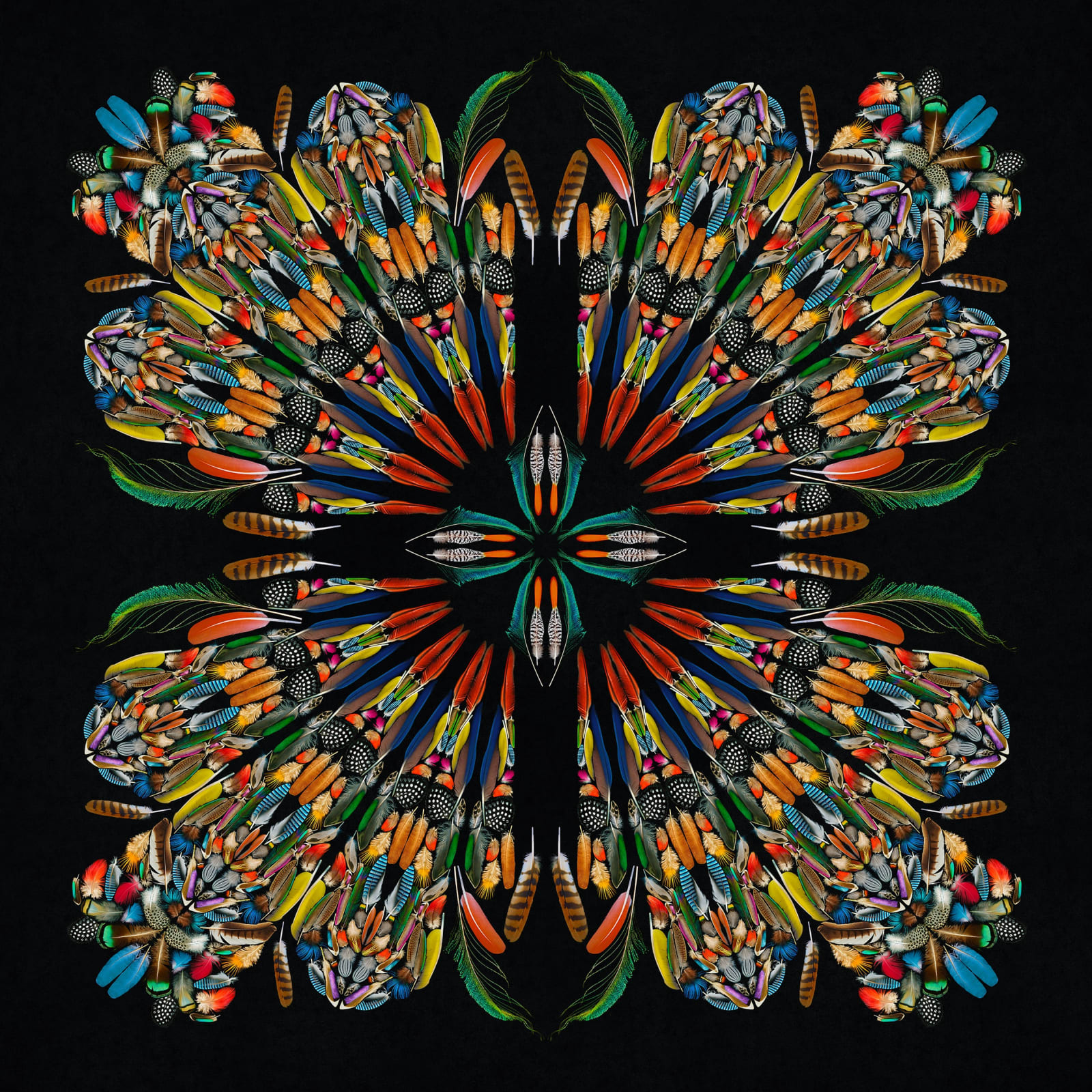George McLeod, Feathers , 2022