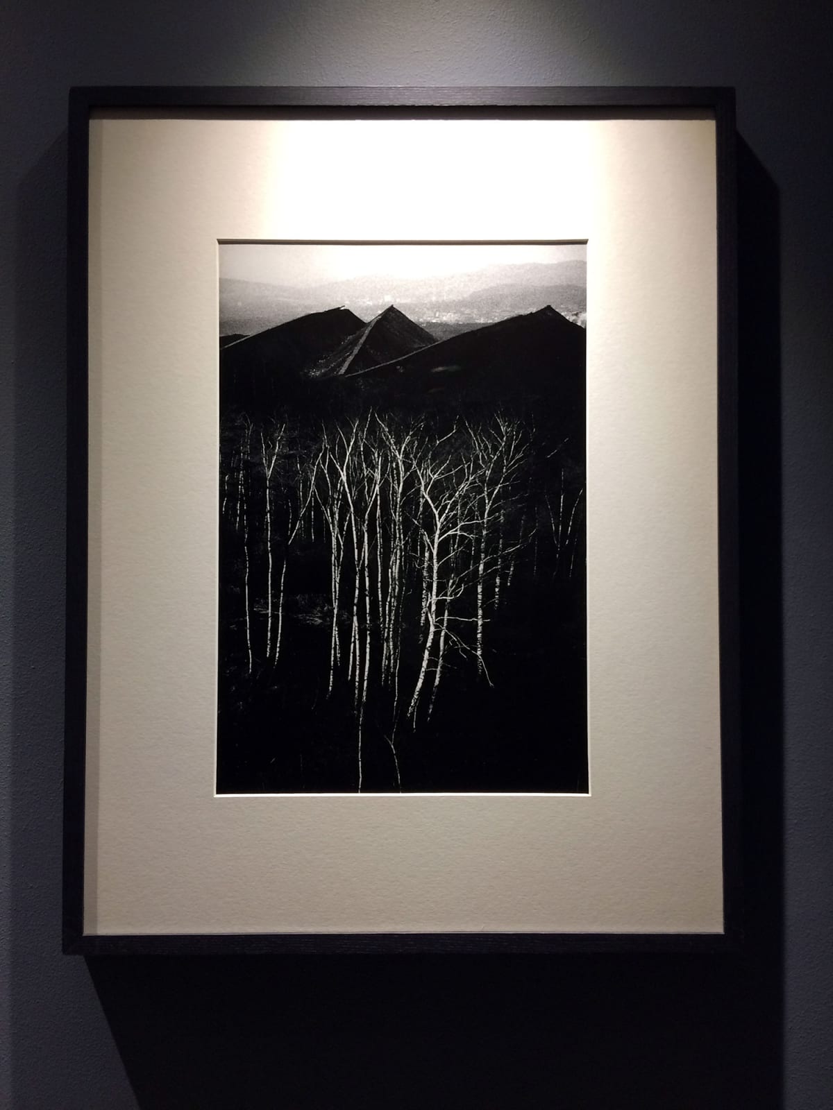 Michal Cala, Forest at the bottom of the Slagheaps, Walbrzych, 1979