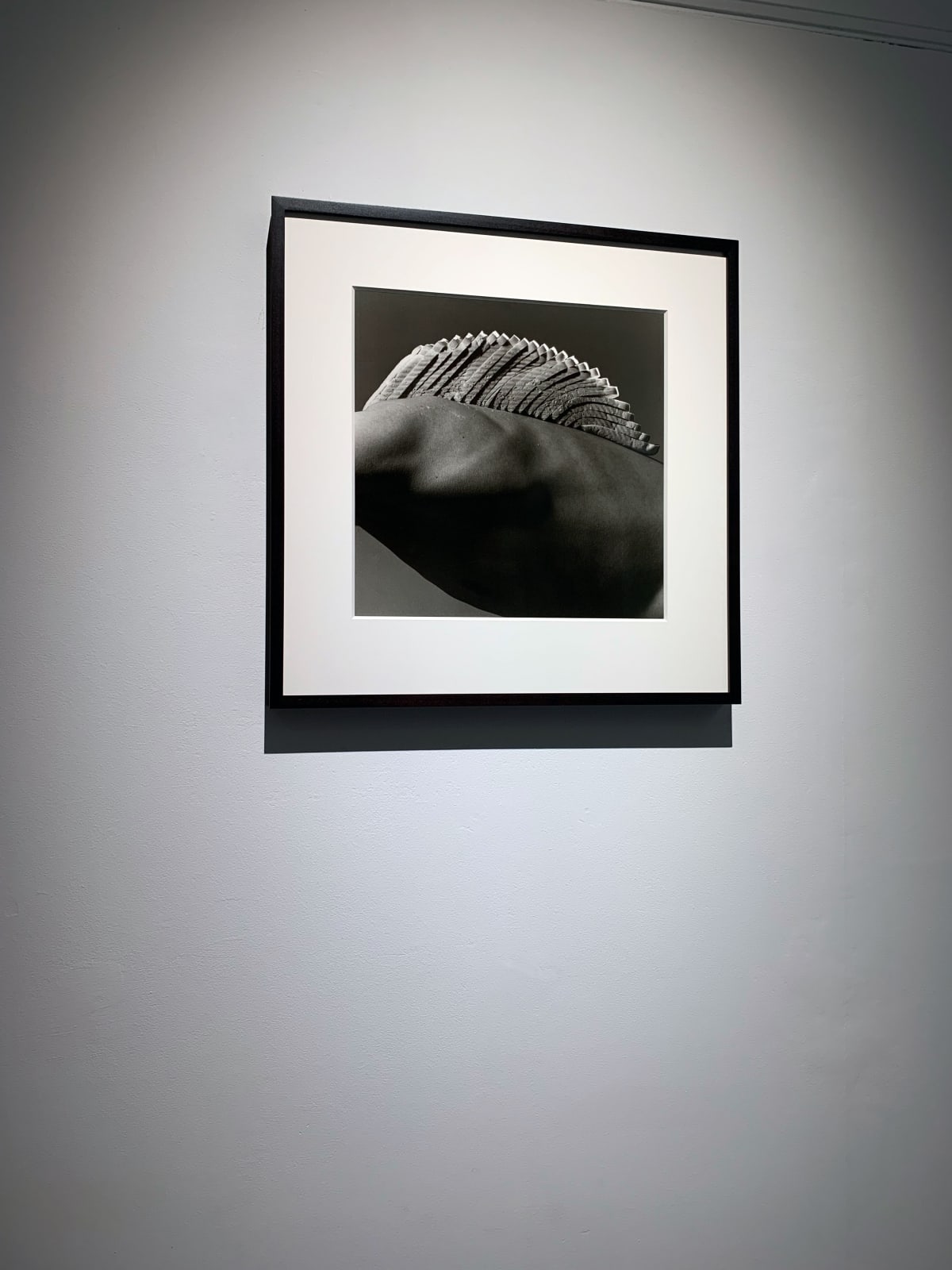 Brian Griffin, Sliced Bread (Mother's Pride), 1986