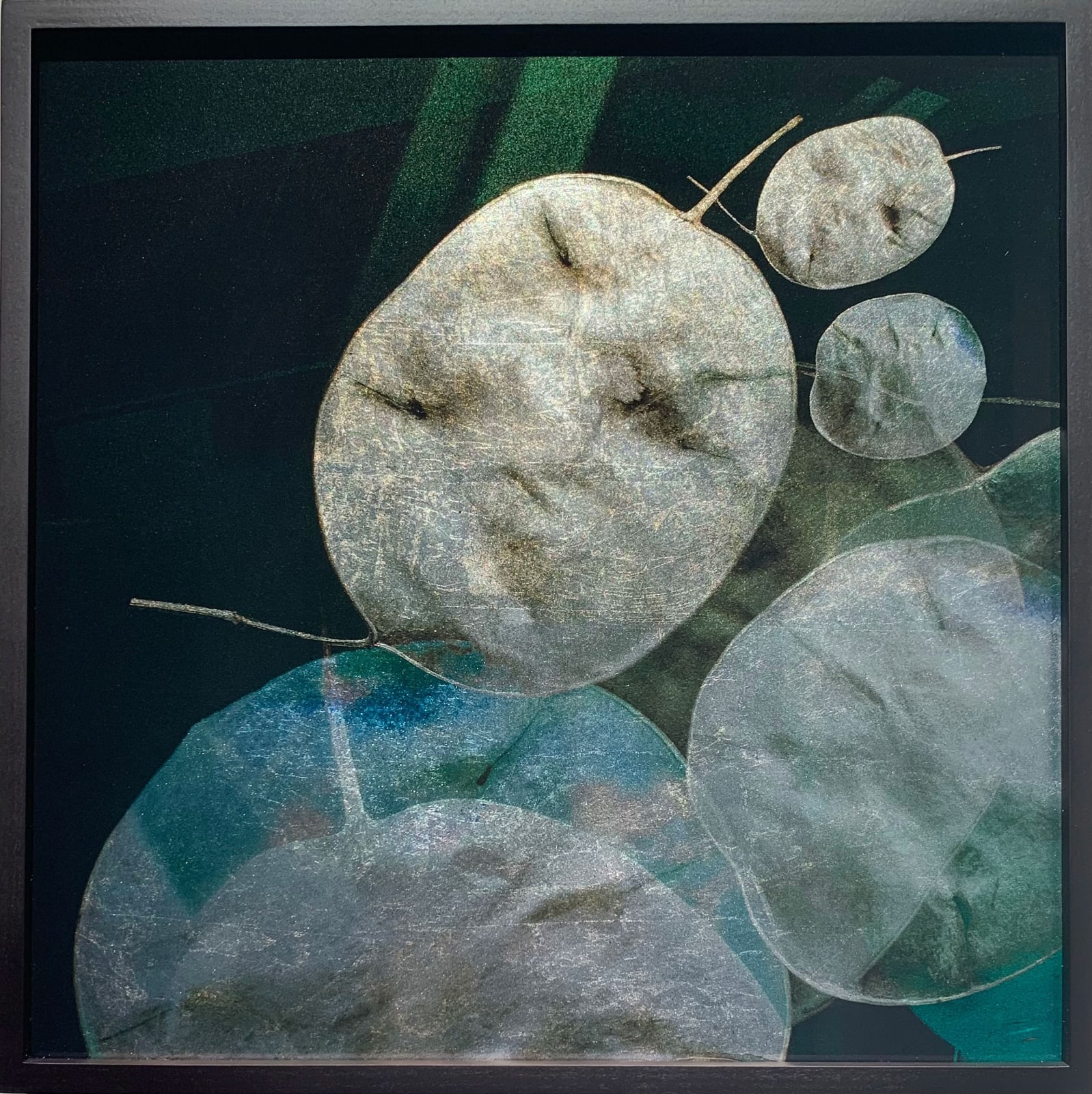 Valda Bailey, Honesty, 2019