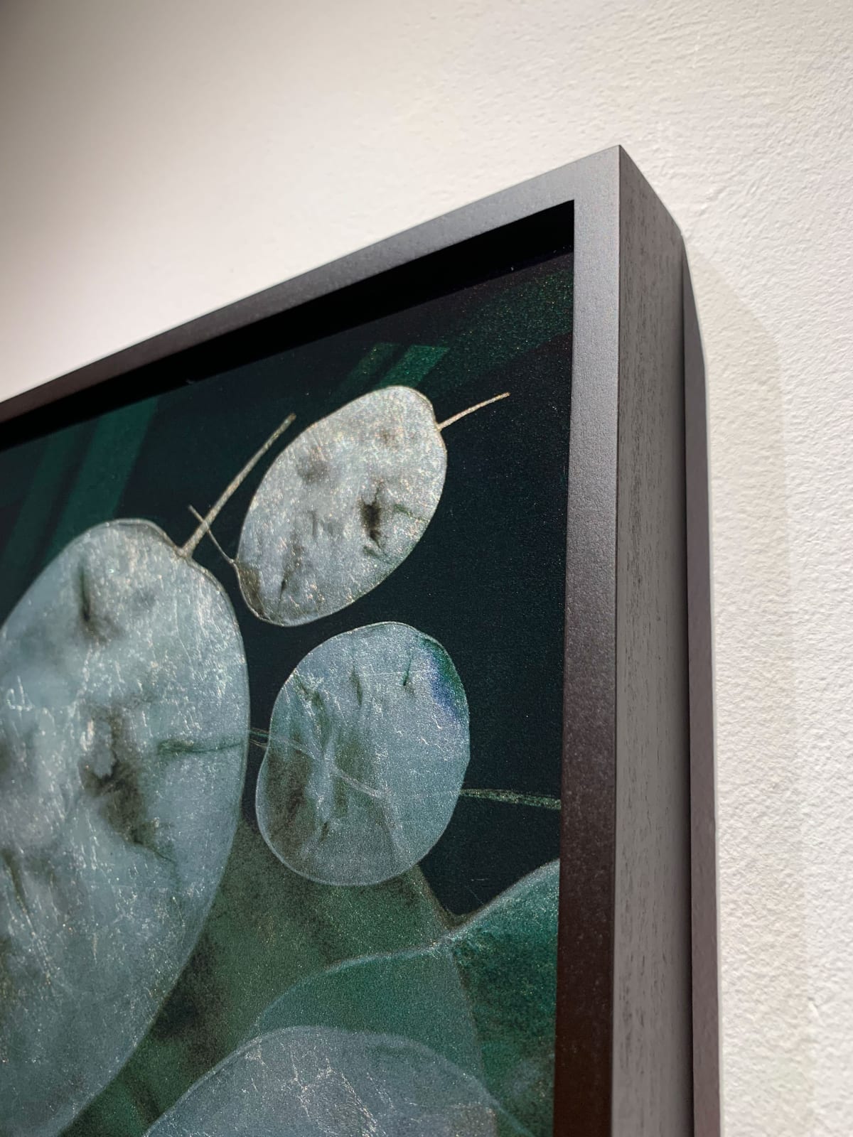 Valda Bailey, Honesty, 2019