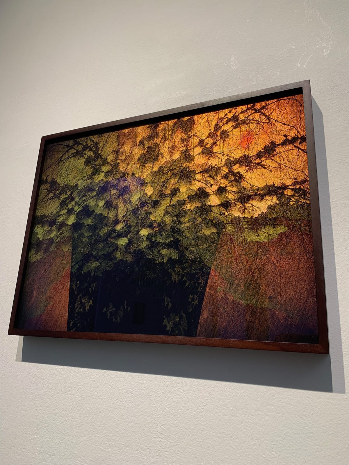 Valda Bailey, Tuscan Sundowner, 2019