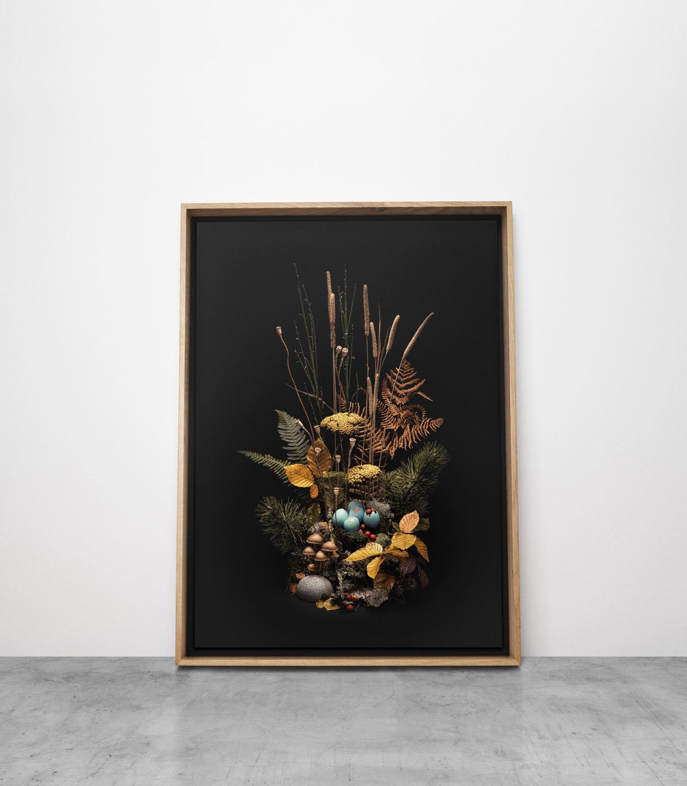 Jasper Goodall, Dark Flora #4, Autumn Weald, 2019