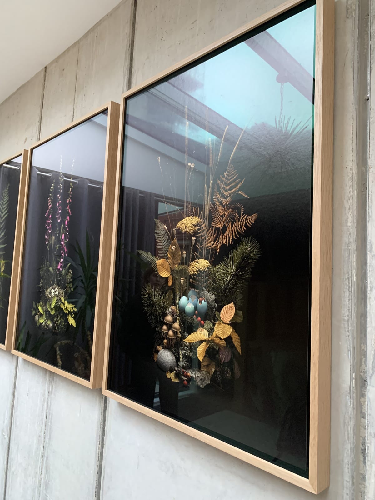 Jasper Goodall, Dark Flora #4, Autumn Weald, 2019