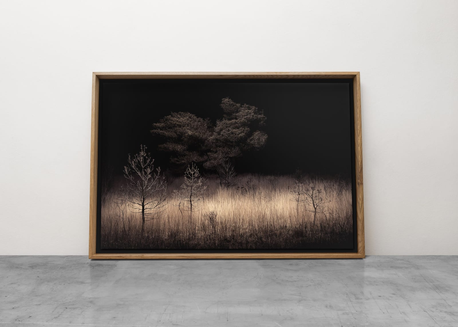 Jasper Goodall, Twilight’s Path 013 - Emergence, 2019