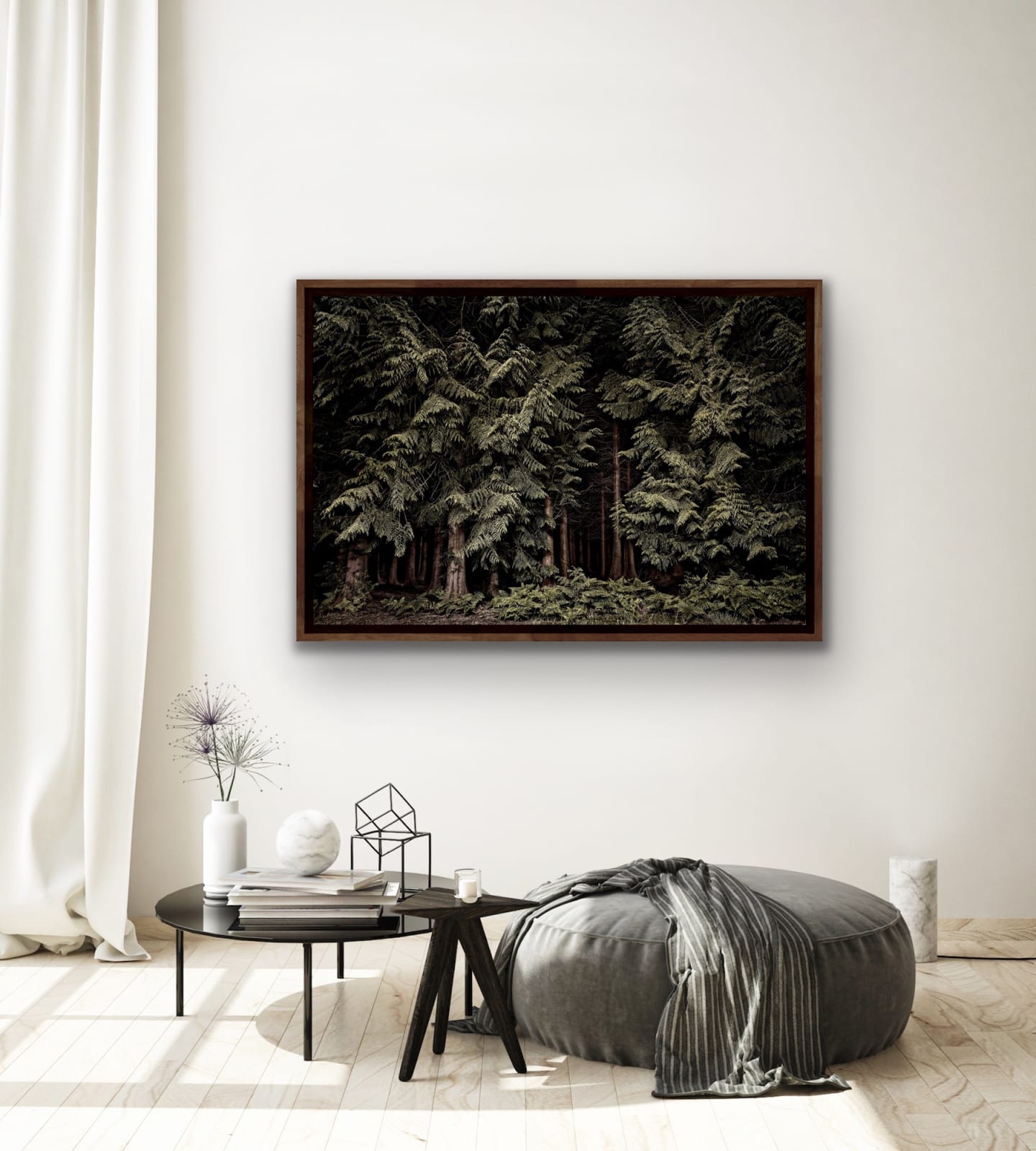 Jasper Goodall, Twilight's Path 001 - Cedars, 2019