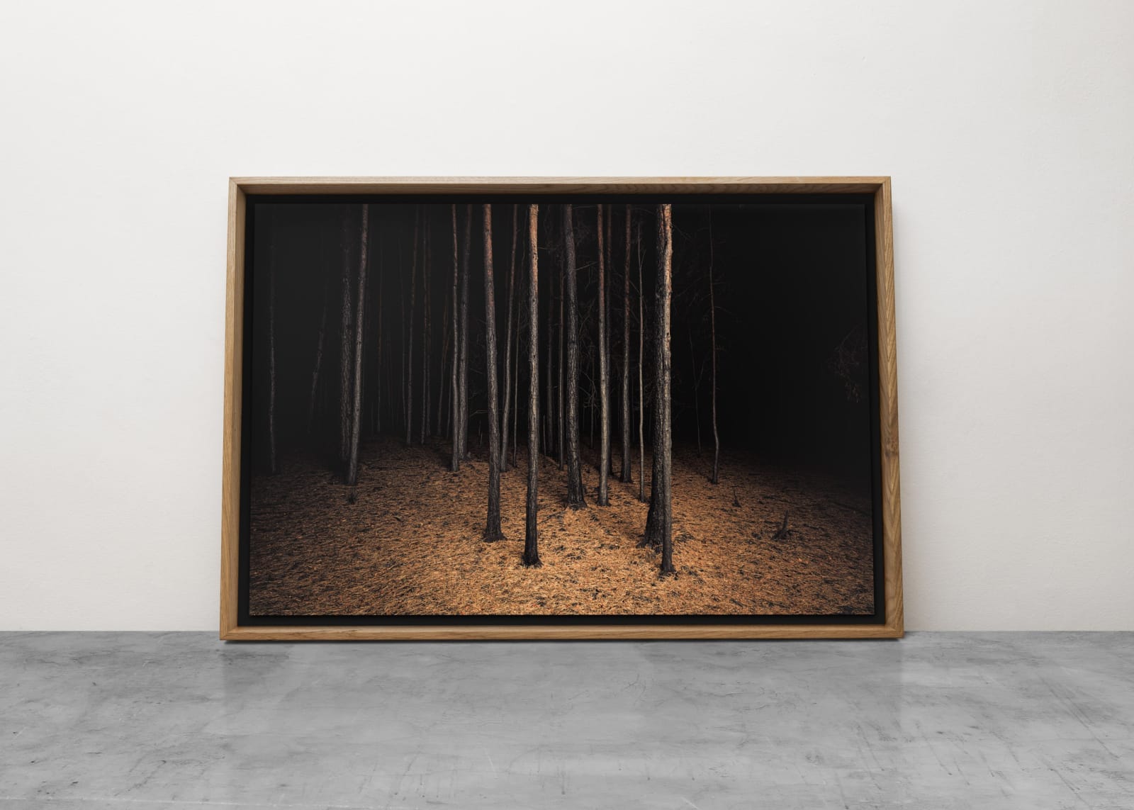 Jasper Goodall, Burnt Place 02, 2019