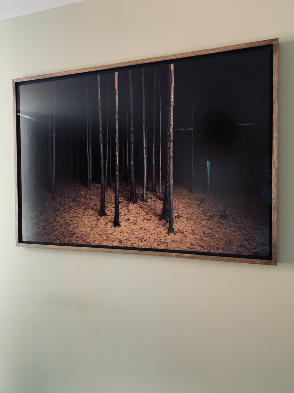 Jasper Goodall, Burnt Place 02, 2019