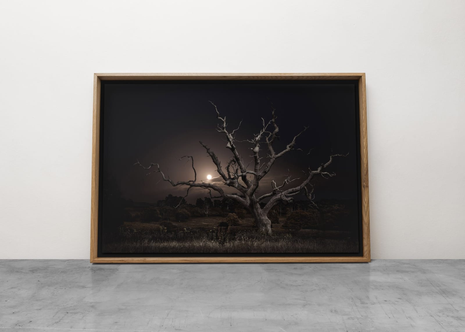 Jasper Goodall, Twilight's Path 030 - Moonrise, 2019