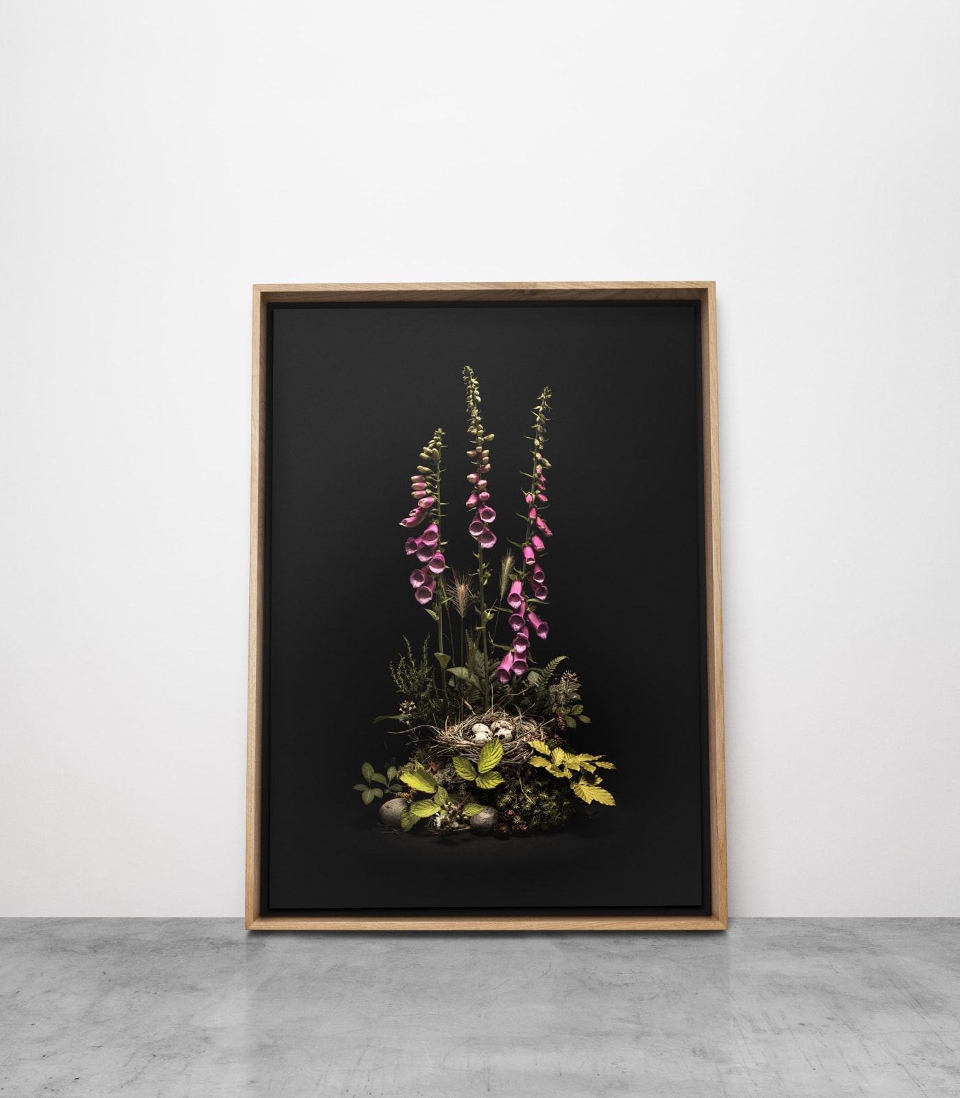 Jasper Goodall, Dark Flora #5 - May Foxgloves, 2020