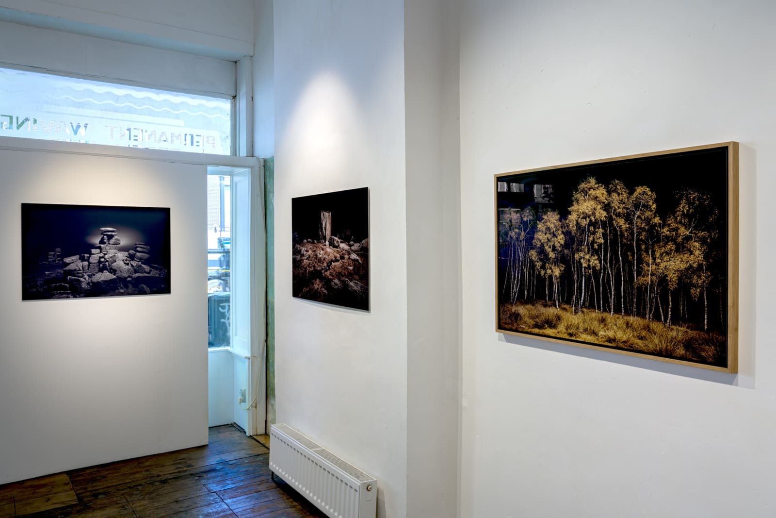 Jasper Goodall, Twilight #20, Birchwood , 2020