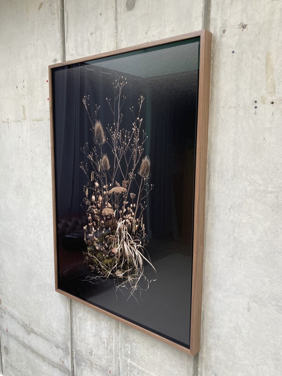 Jasper Goodall, Dark Flora #8, Skeletons of the Summer, 2021