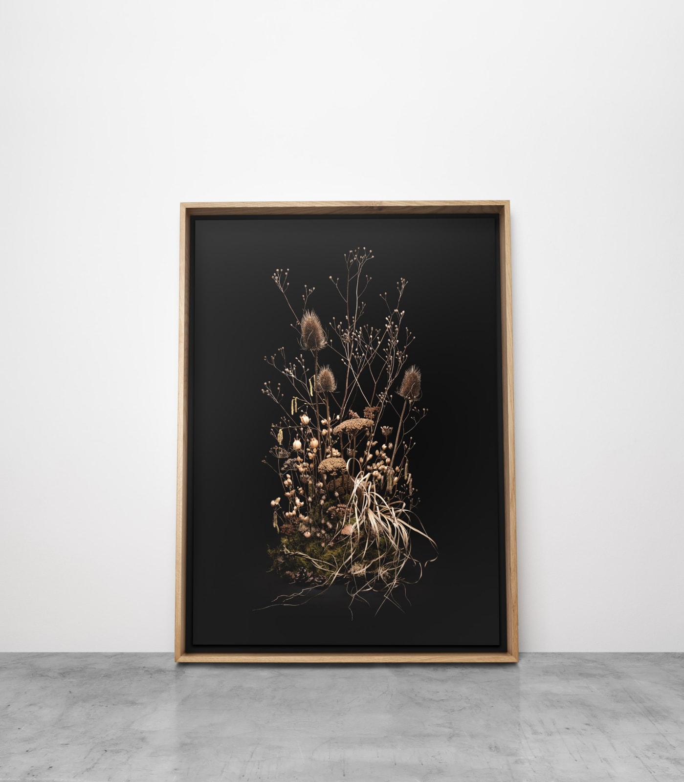 Jasper Goodall, Dark Flora #8, Skeletons of the Summer, 2021