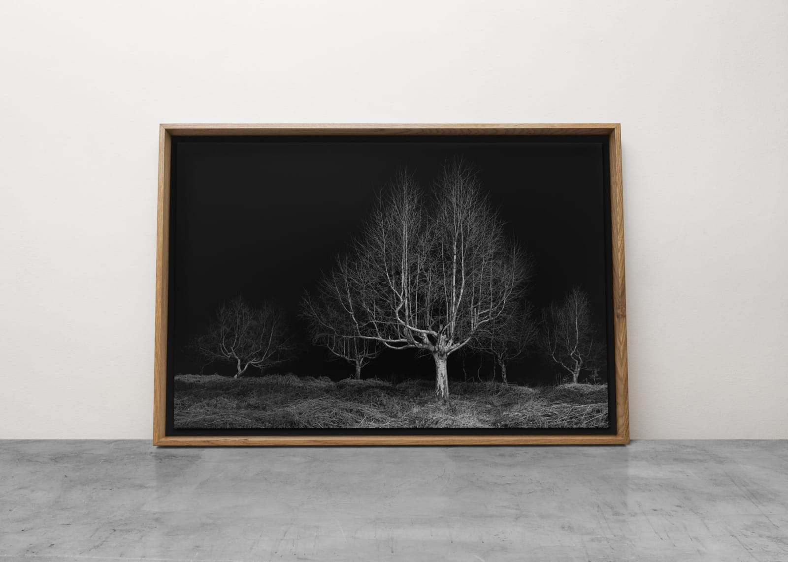 Jasper Goodall, Twilight #19, Gathering, 2020