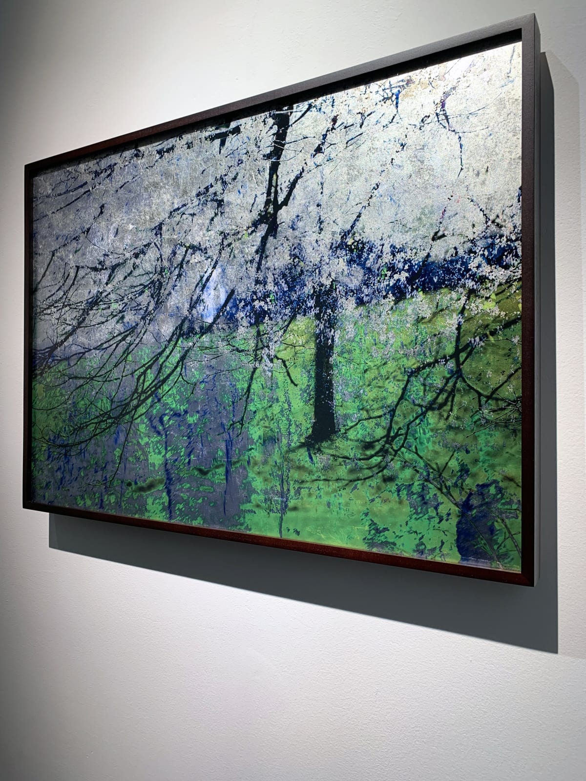 Valda Bailey, Blossom Blizzard, Study 1, Stanmer Park, Sussex, England, 2014