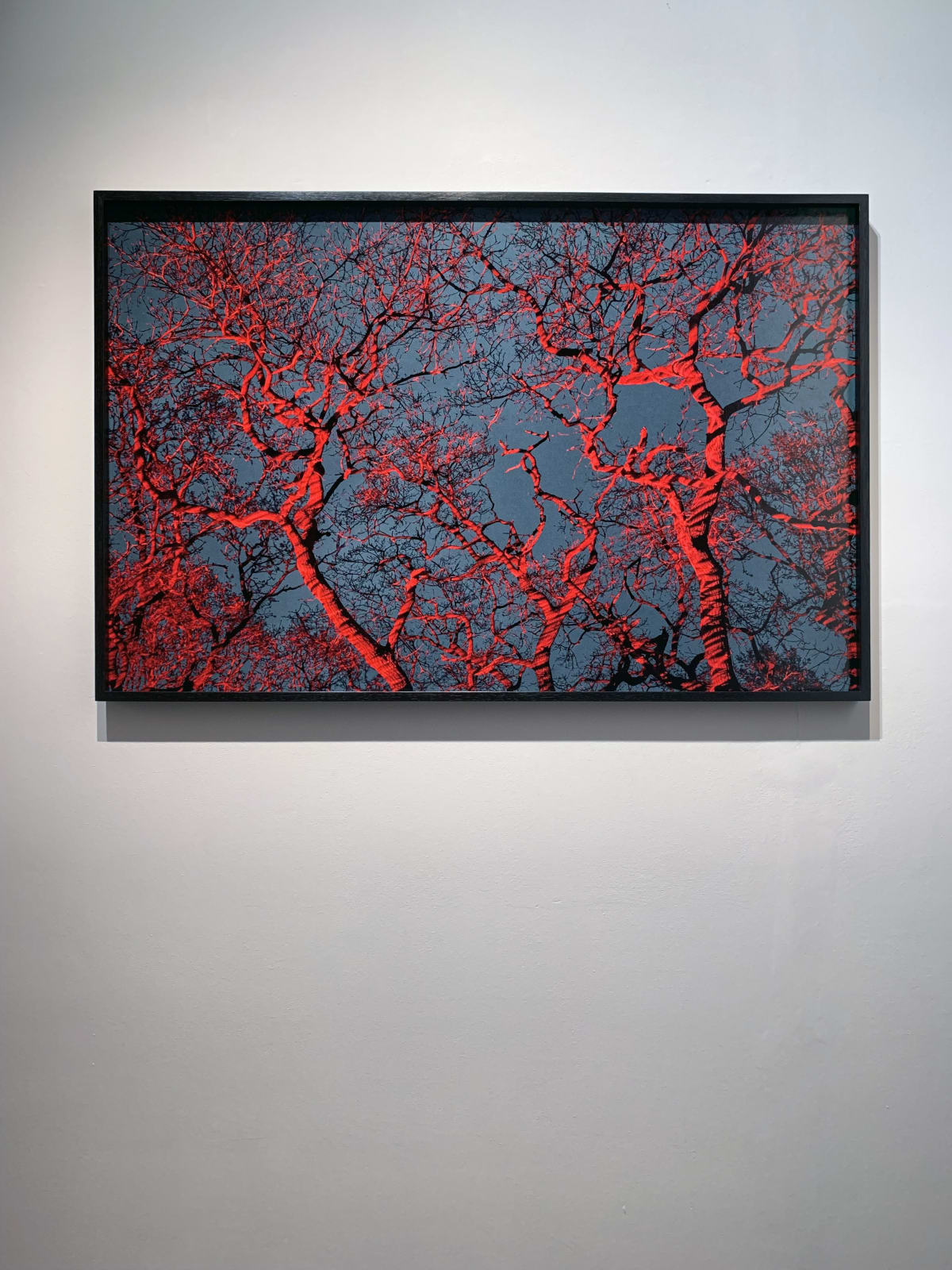George McLeod, Untitled #7, 2021