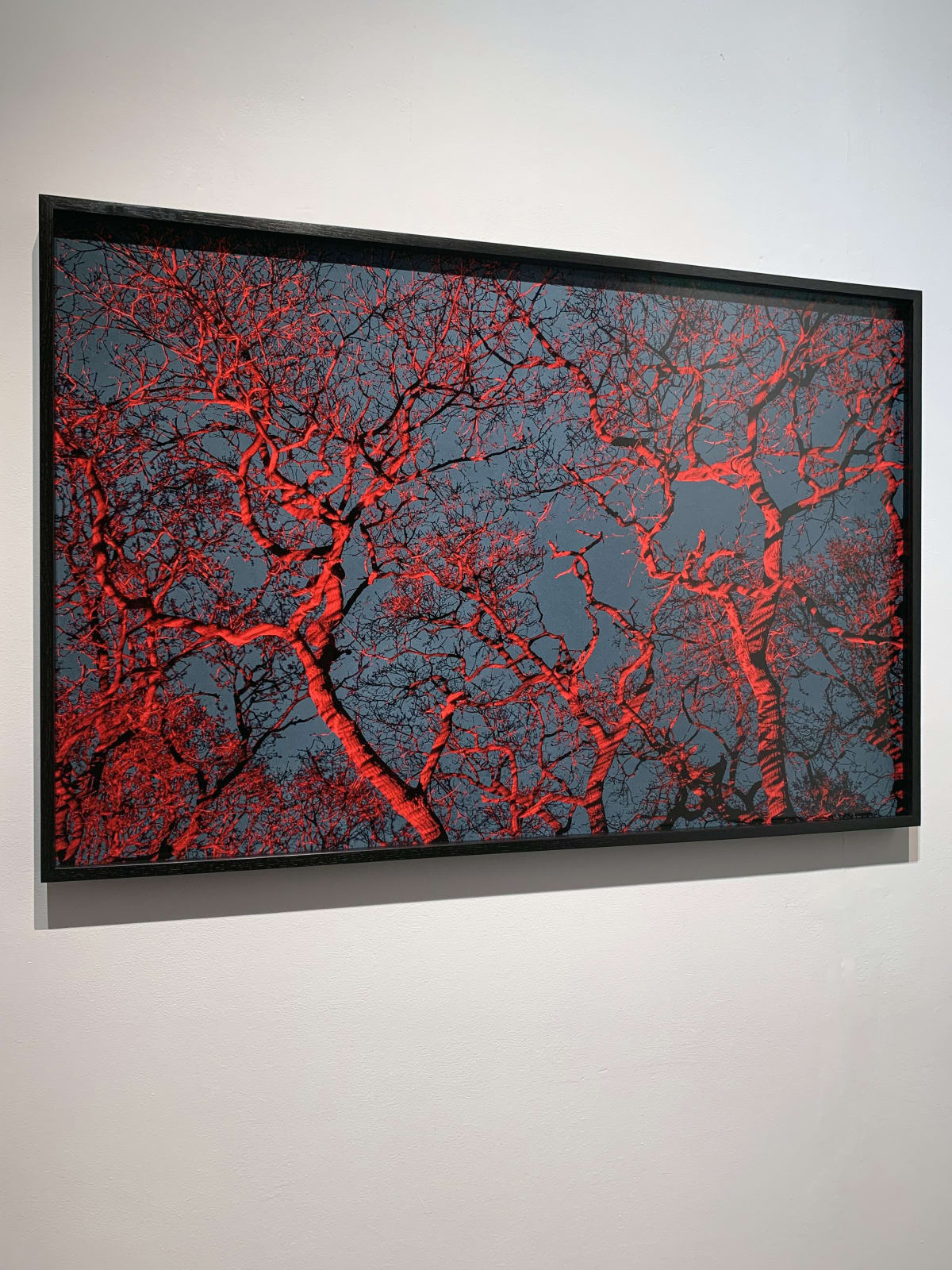 George McLeod, Untitled #7, 2021
