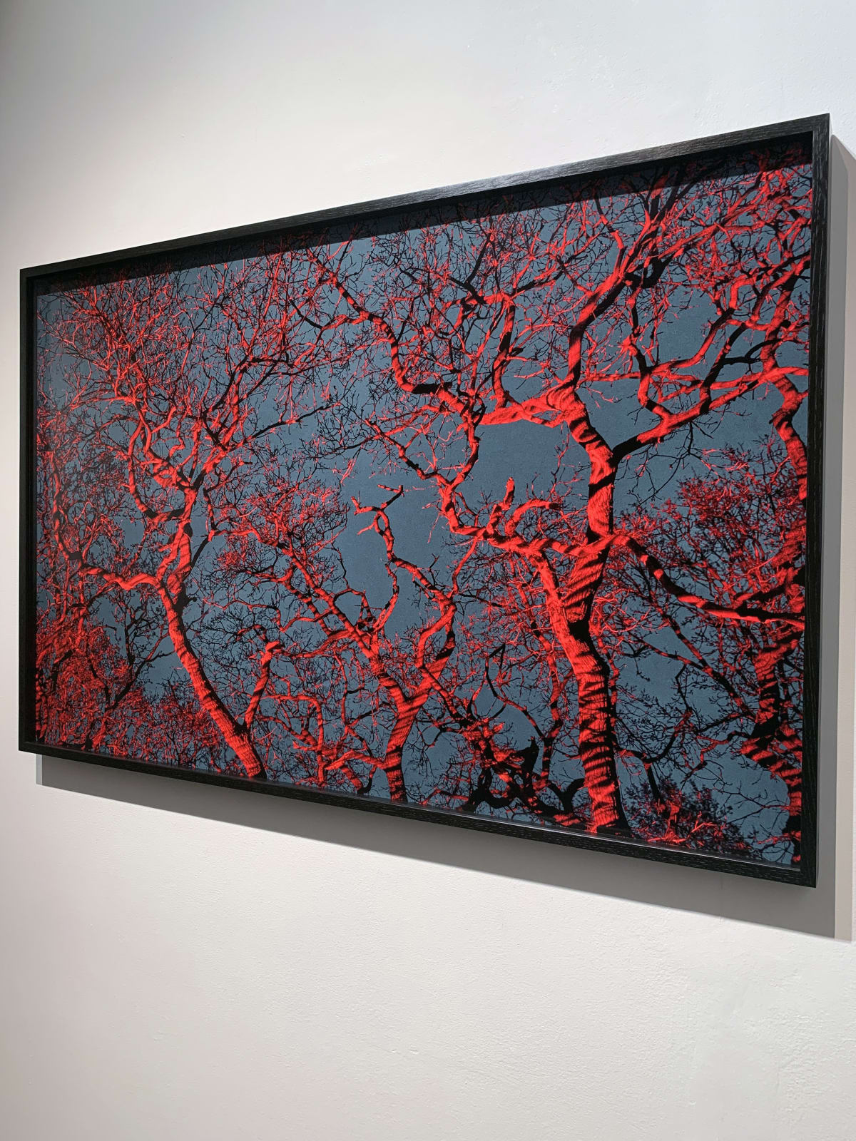 George McLeod, Untitled #7, 2021
