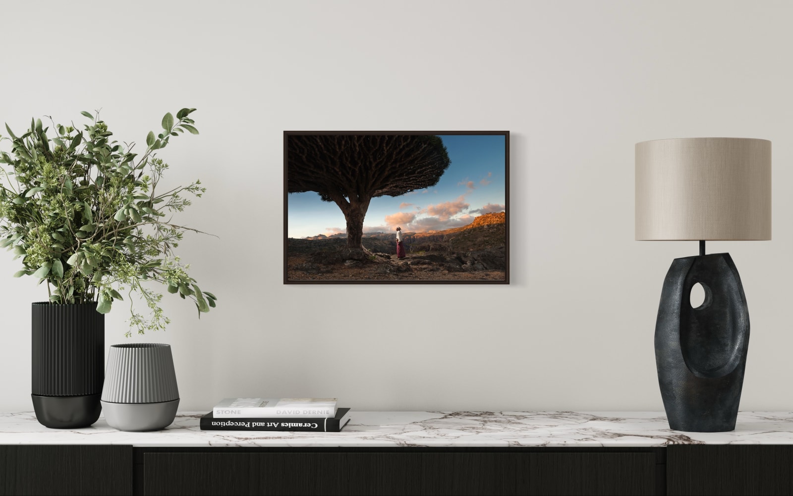 Guillaume Peterman, Dragon Blood Tree, Socotra, Yemen, 2020