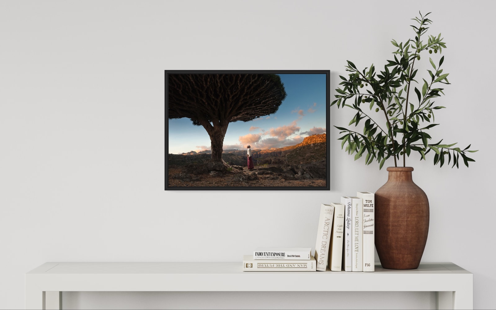 Guillaume Peterman, Dragon Blood Tree, Socotra, Yemen, 2020