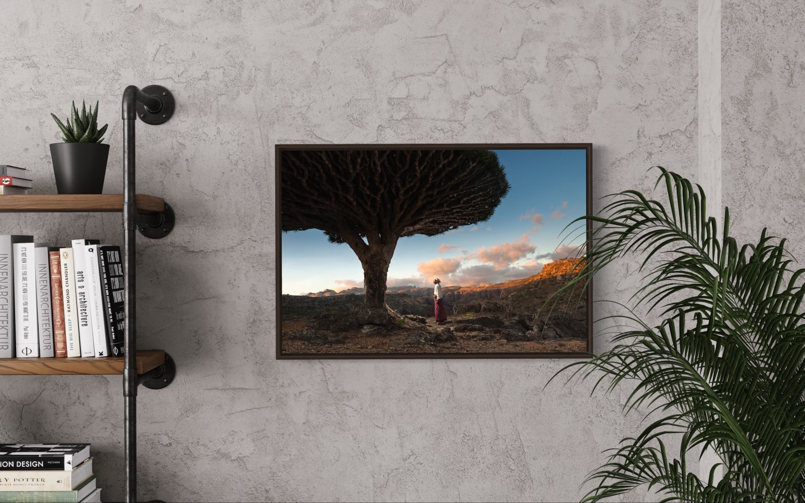 Guillaume Peterman, Dragon Blood Tree, Socotra, Yemen, 2020