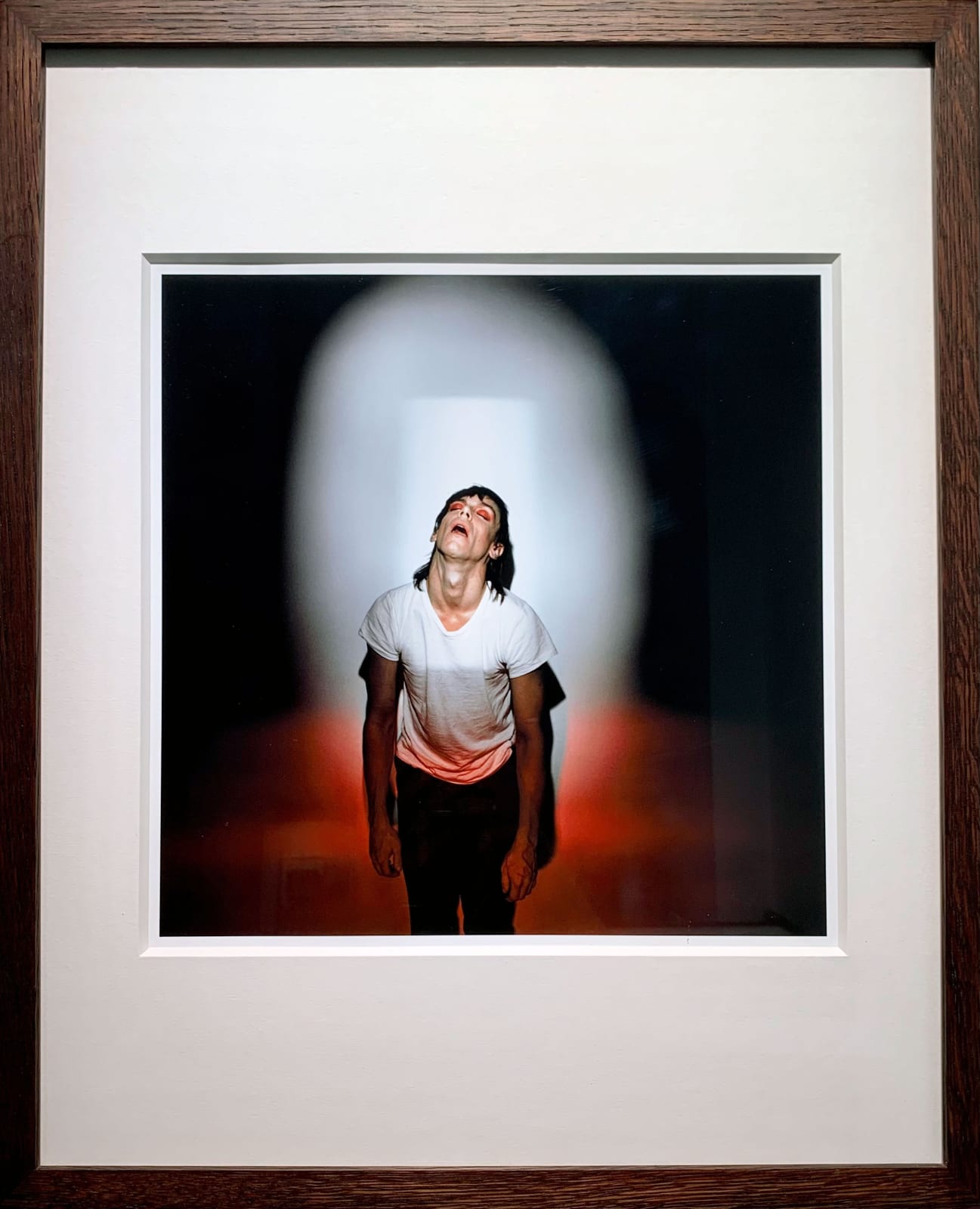 Brian Griffin, Iggy Pop - from the album cover Soldier 1980, Studio Portrait (1979), 1979