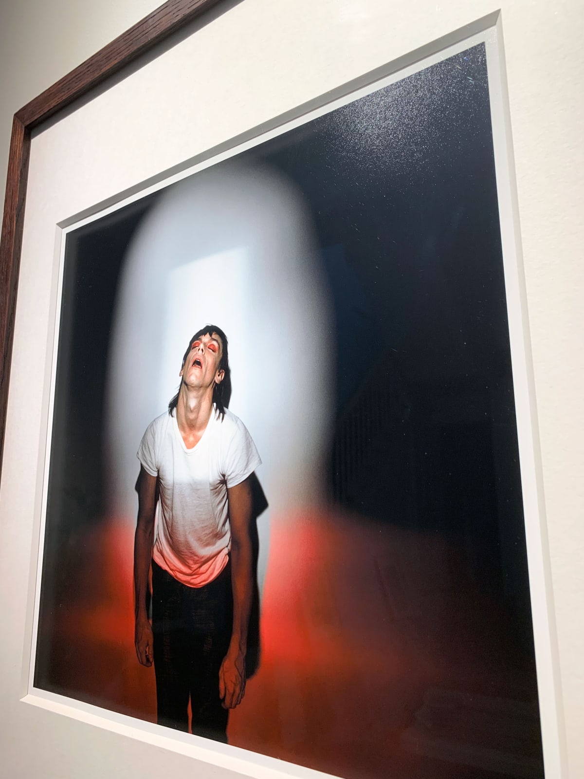 Brian Griffin, Iggy Pop - from the album cover Soldier 1980, Studio Portrait (1979), 1979