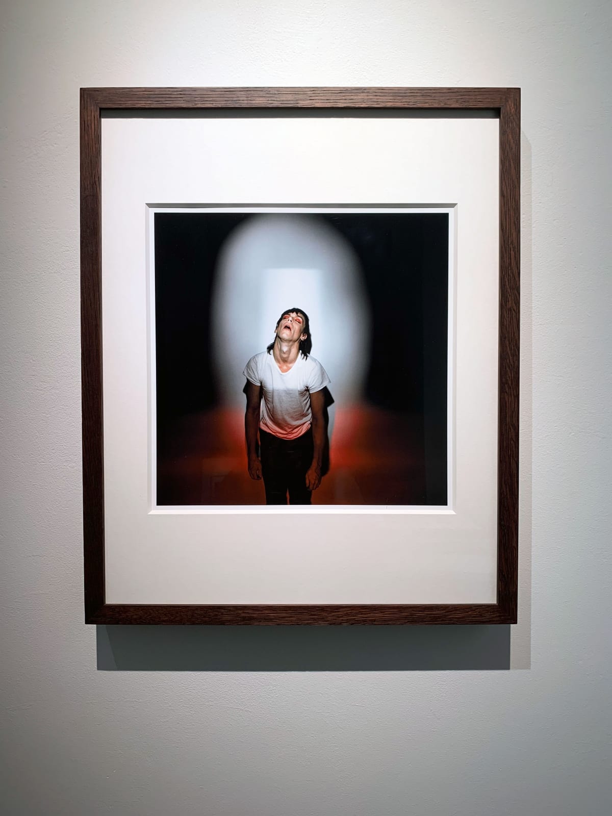 Brian Griffin, Iggy Pop - from the album cover Soldier 1980, Studio Portrait (1979), 1979