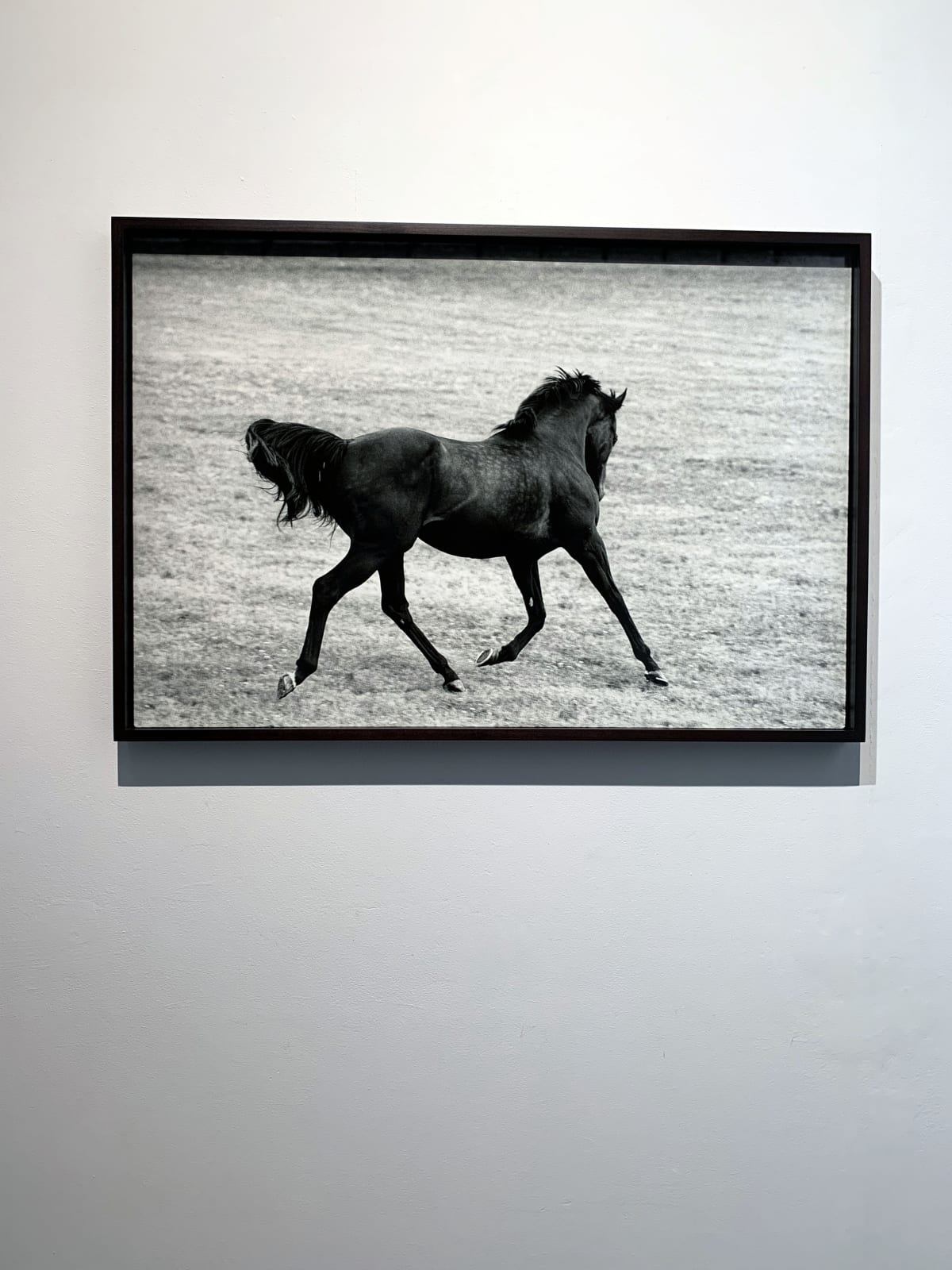 John Reardon, Singspiel, 2001