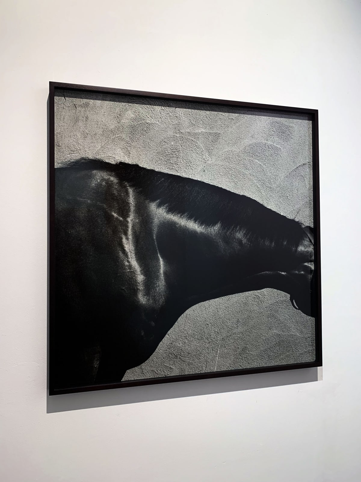 John Reardon, King's Best, 'Neck', 2001