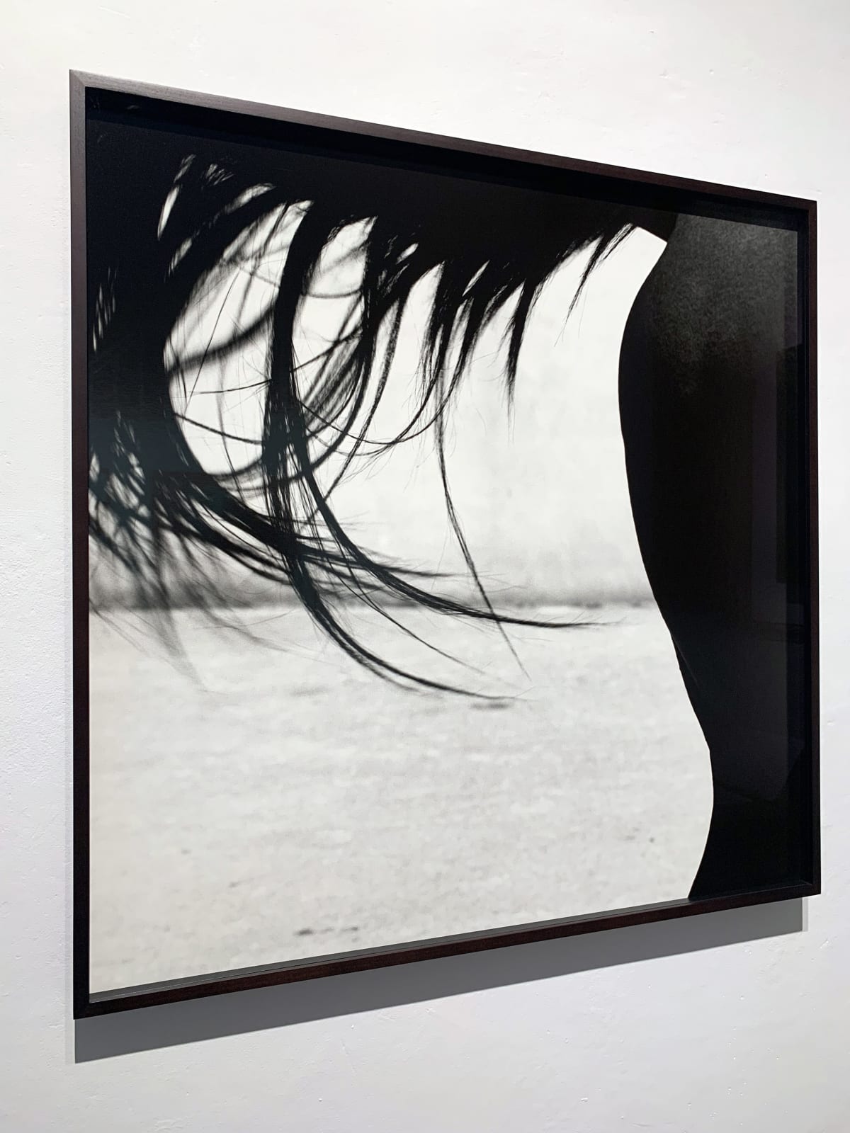 John Reardon, Xaar, 'Tail', 2001