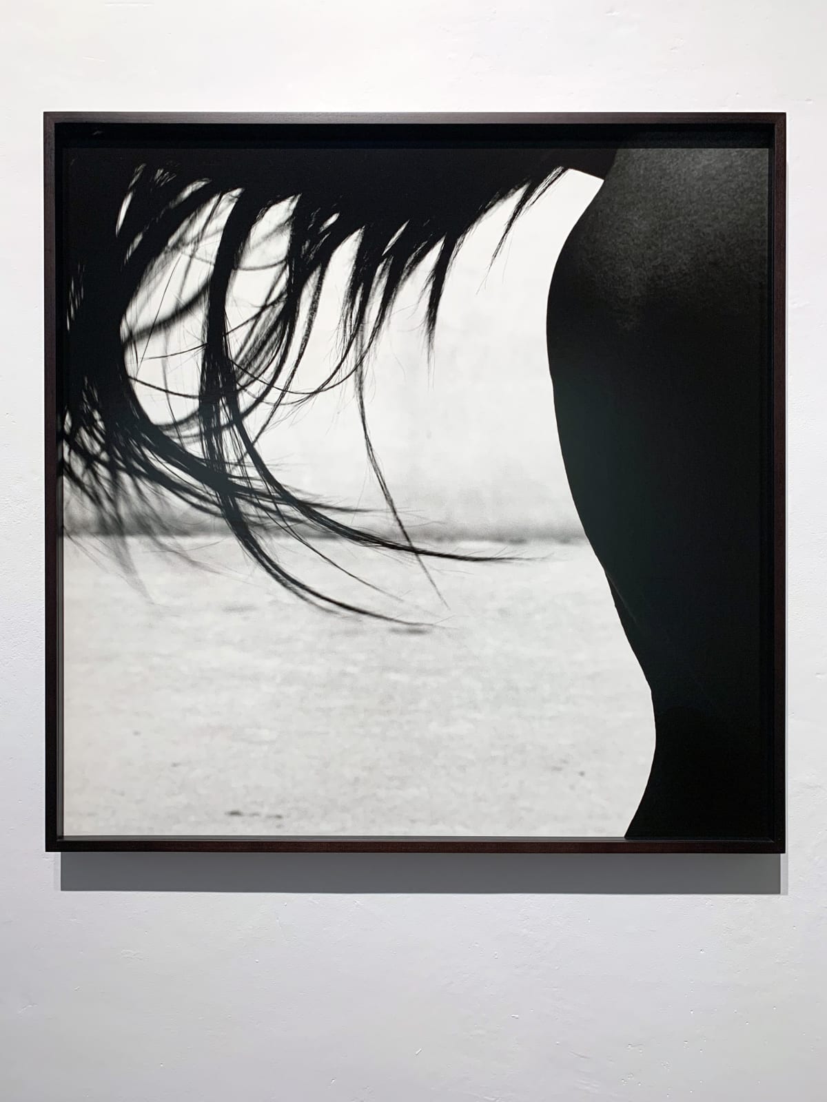 John Reardon, Xaar, 'Tail', 2001