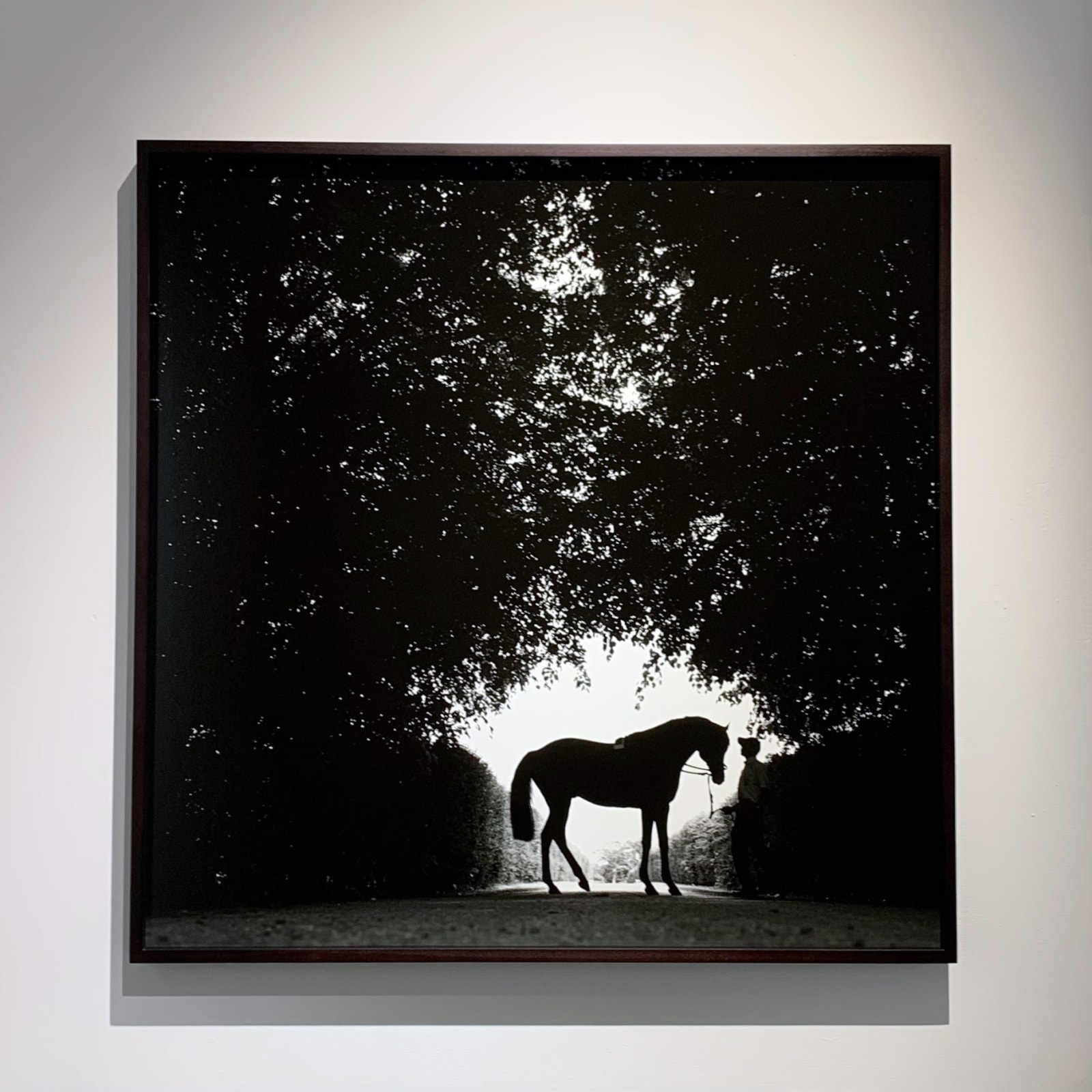 John Reardon, Mark of Esteem, 'Silhouette' , 2001