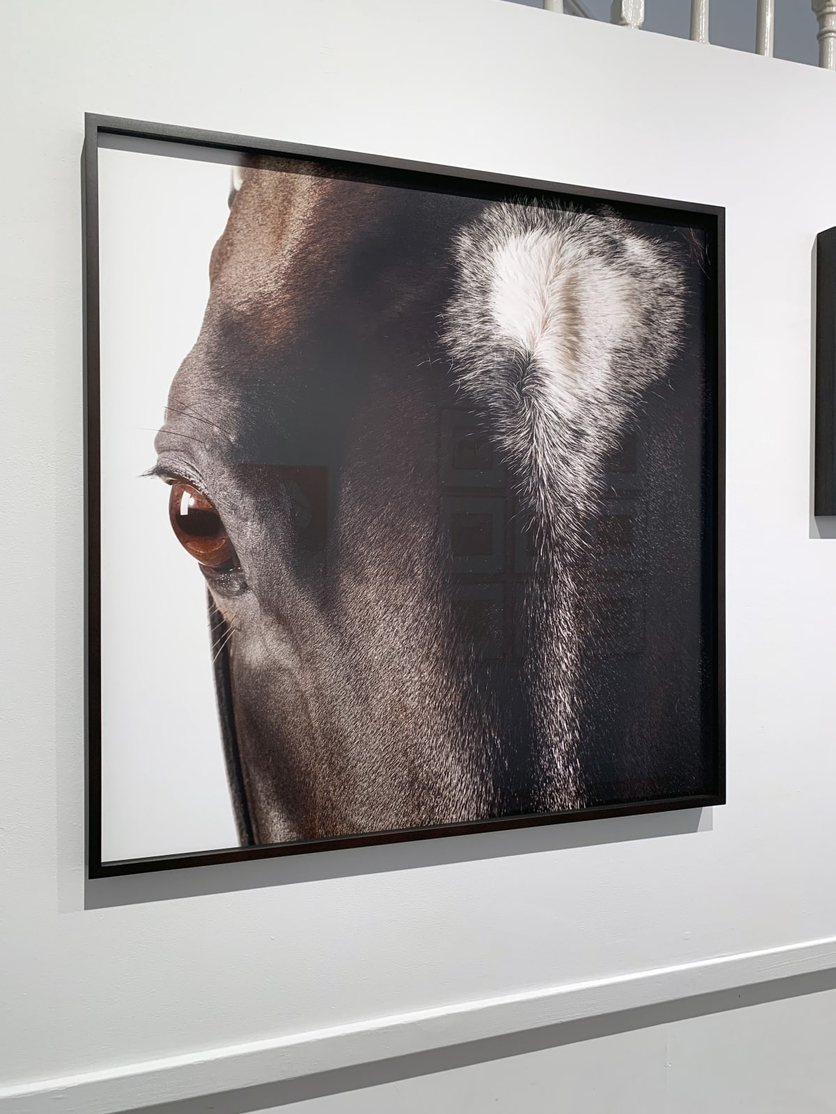 John Reardon, Medaglia d'Oro - Studio Portrait, 2009