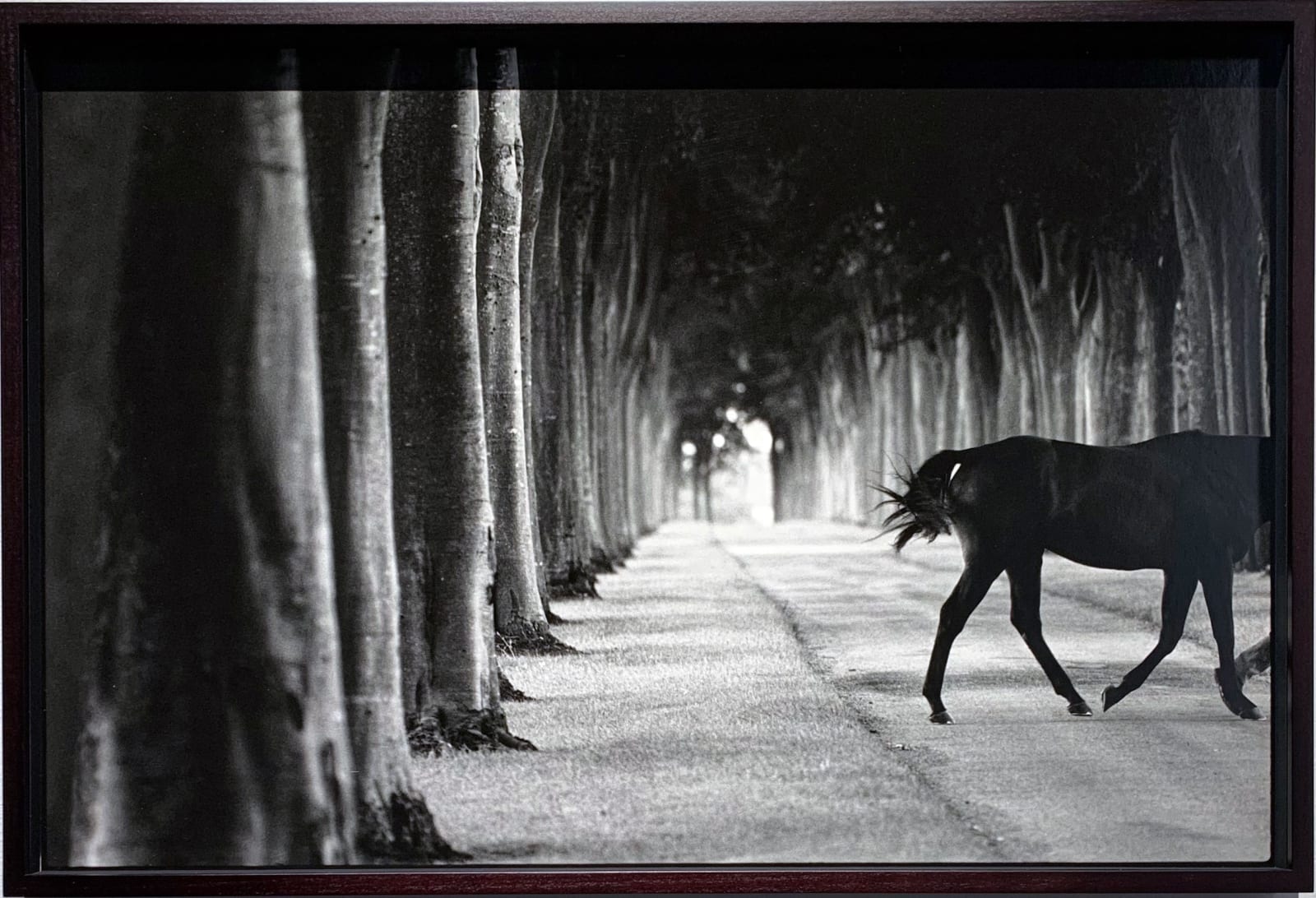 John Reardon, Kabool, 'Avenue Of Trees', 2001