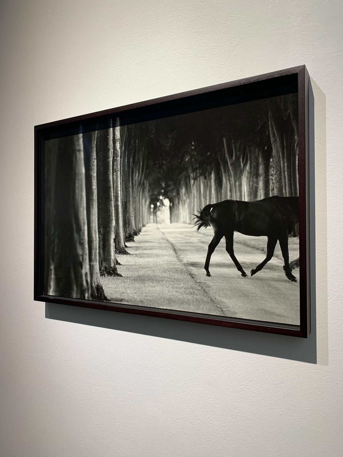 John Reardon, Kabool, 'Avenue Of Trees', 2001