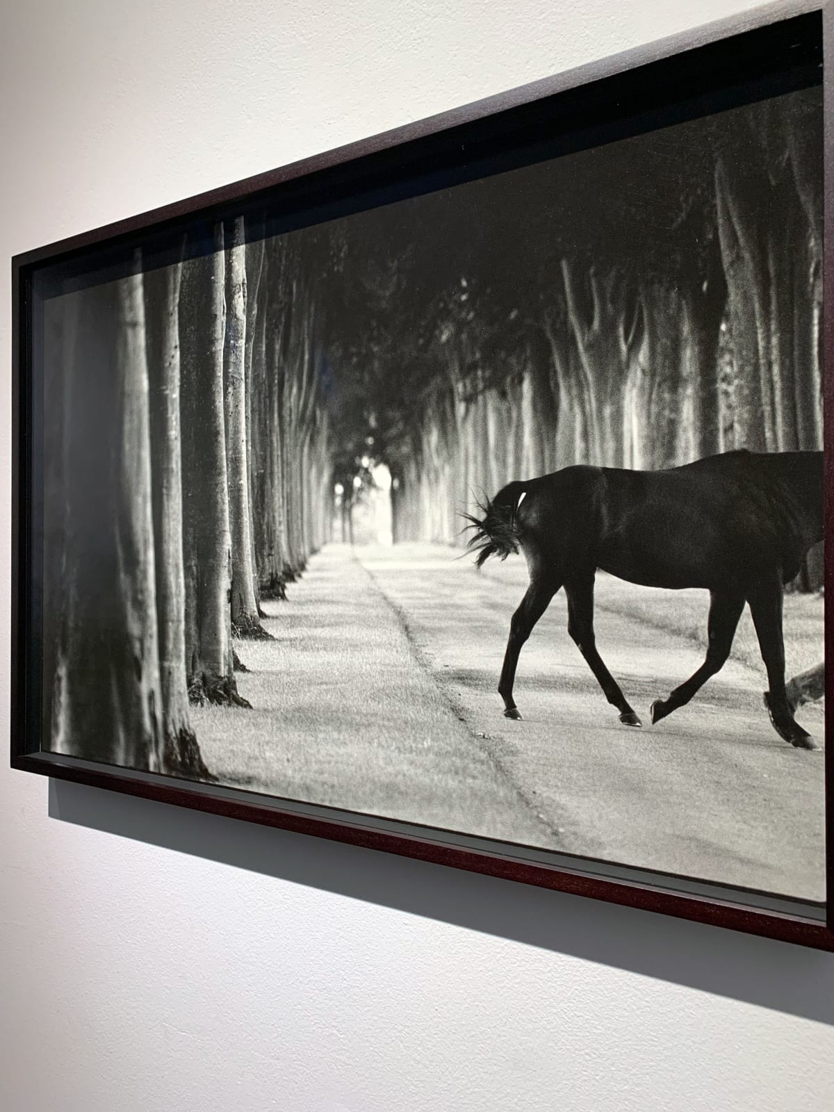John Reardon, Kabool, 'Avenue Of Trees', 2001
