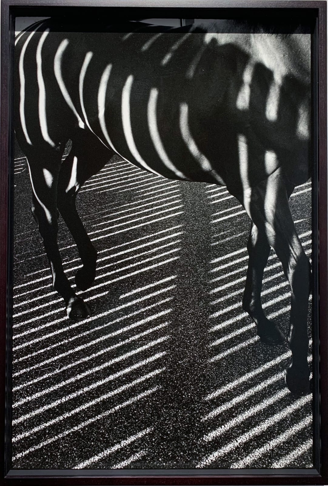 John Reardon, Striped Horse, 2001