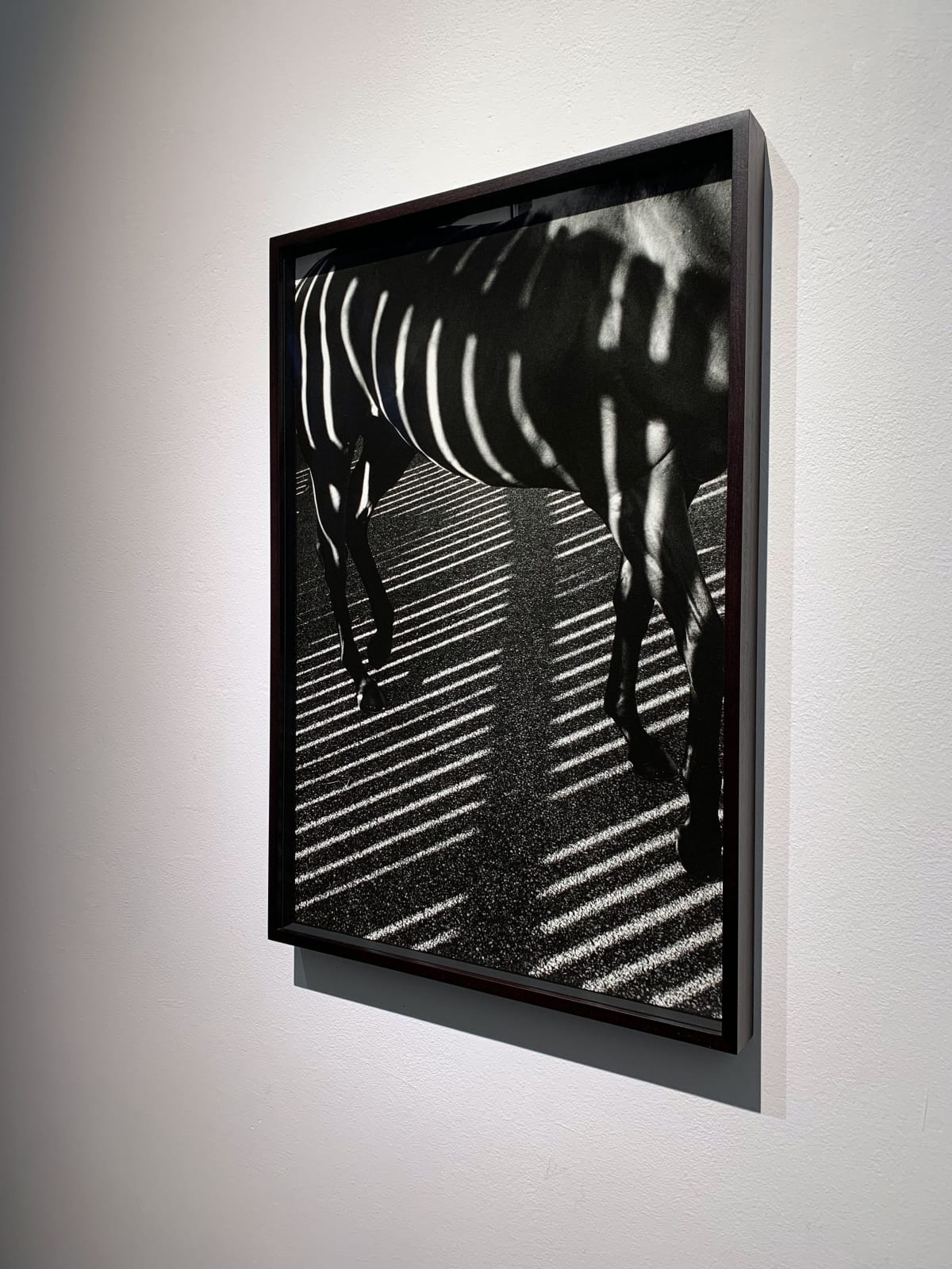 John Reardon, Striped Horse, 2001